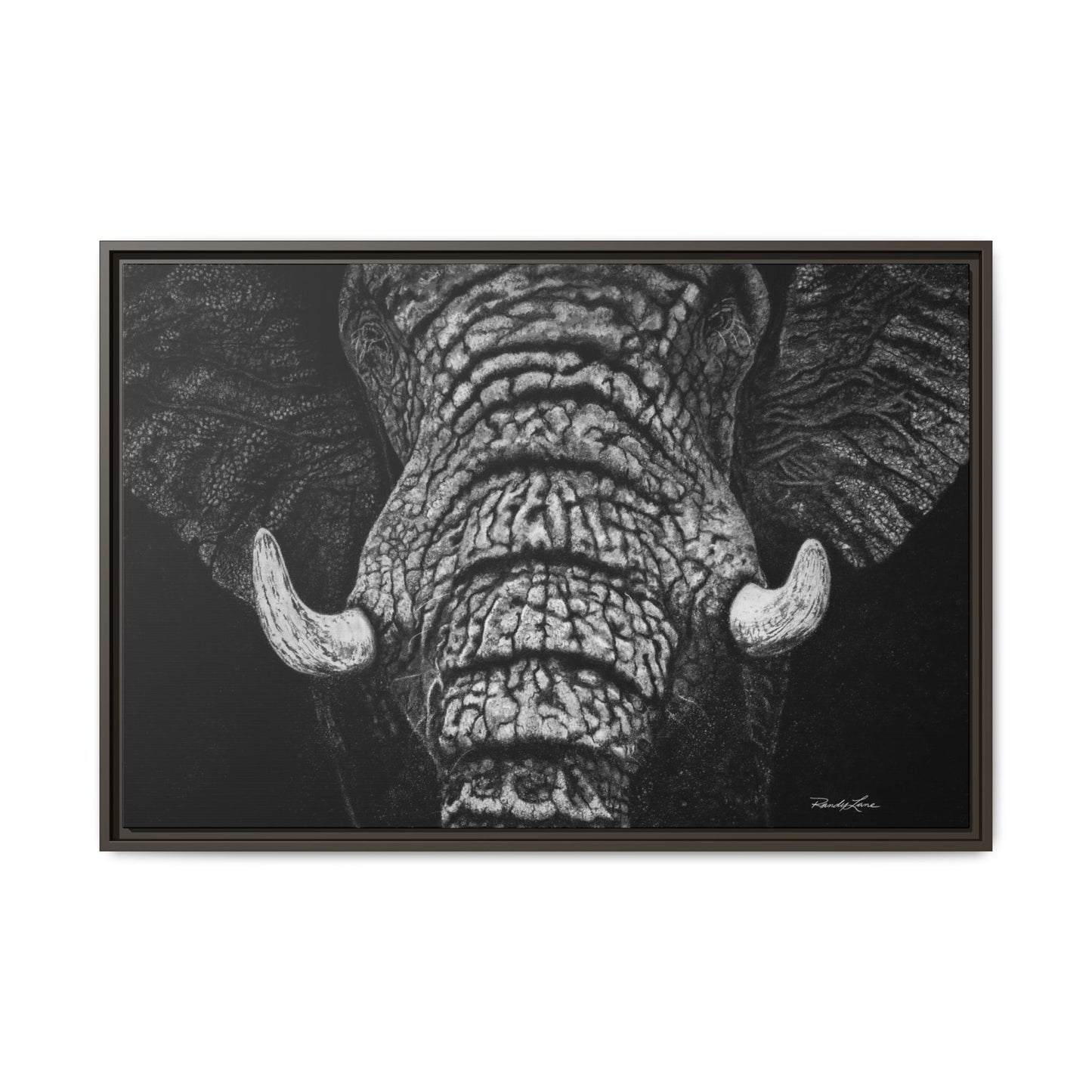Ebony and Ivory, Elephant Portrait Framed Canvas Wall Art