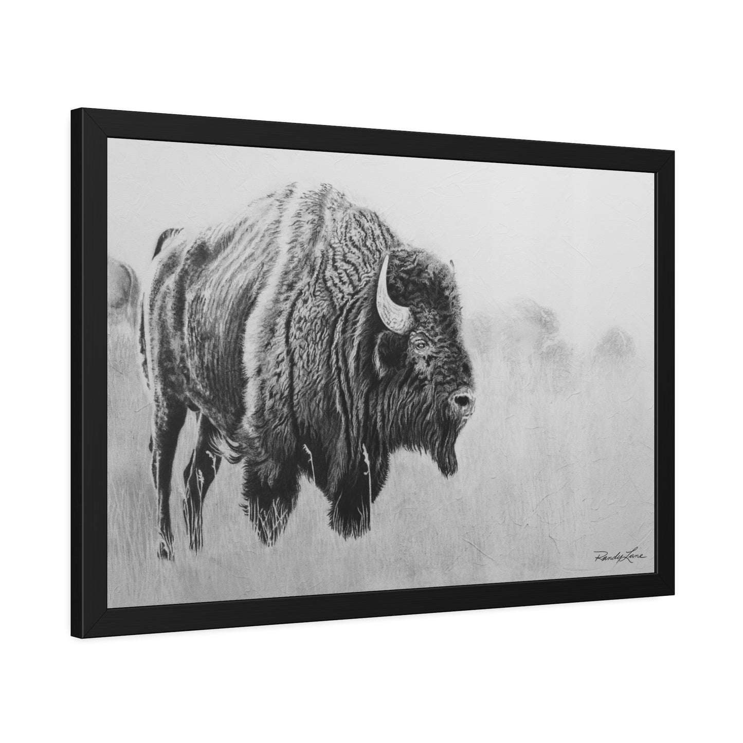 Prairie Bison, Bison Charcoal Art Framed Print