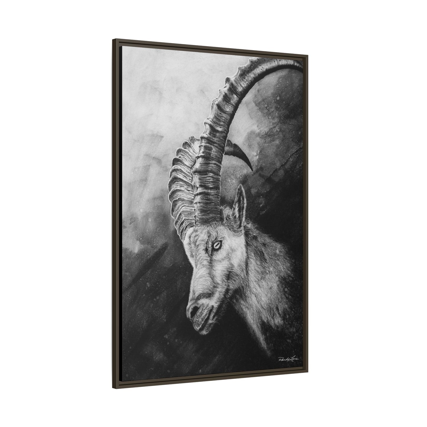 Apex,  Alpine Mountain Goat, Framed Matte Canvas Art Print,