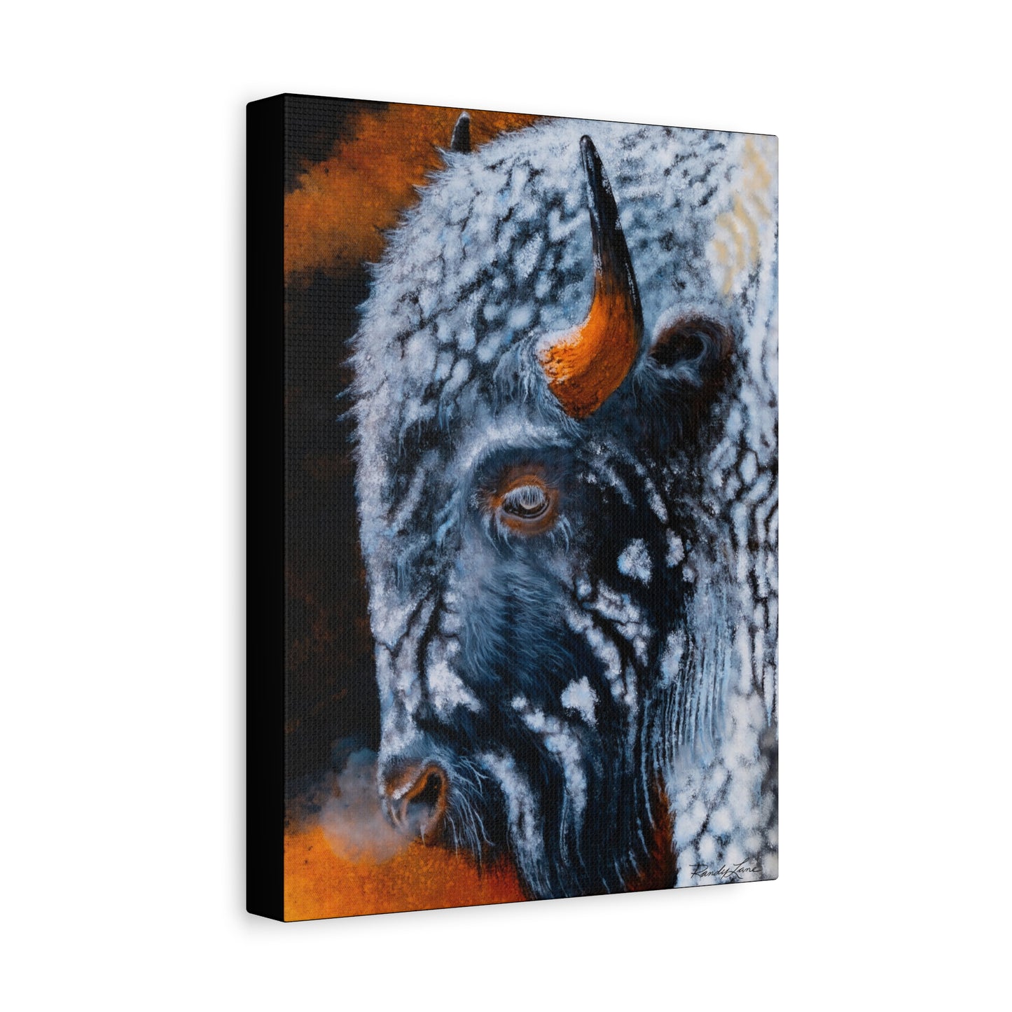 Storm Bison, Stretched Canvas Art Print