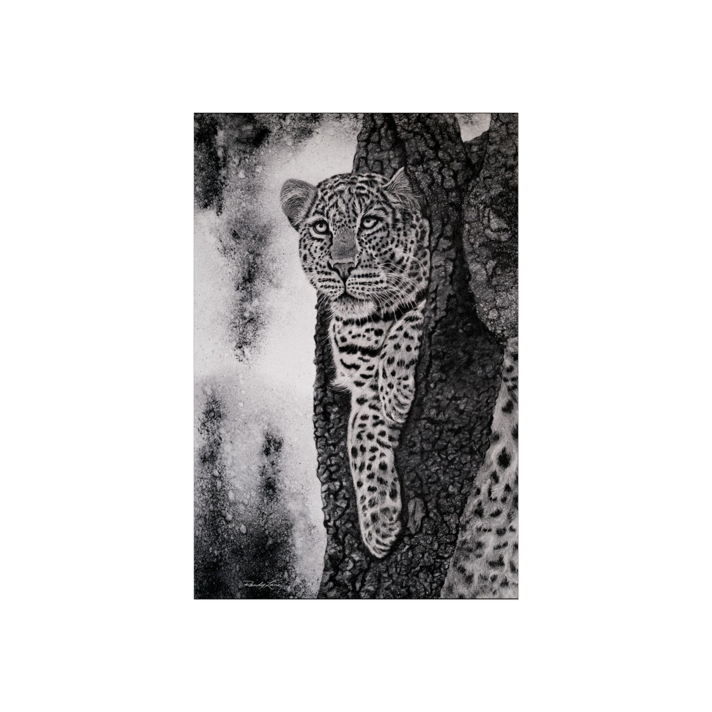 Tree Hugger, Leopard Fine Art Print