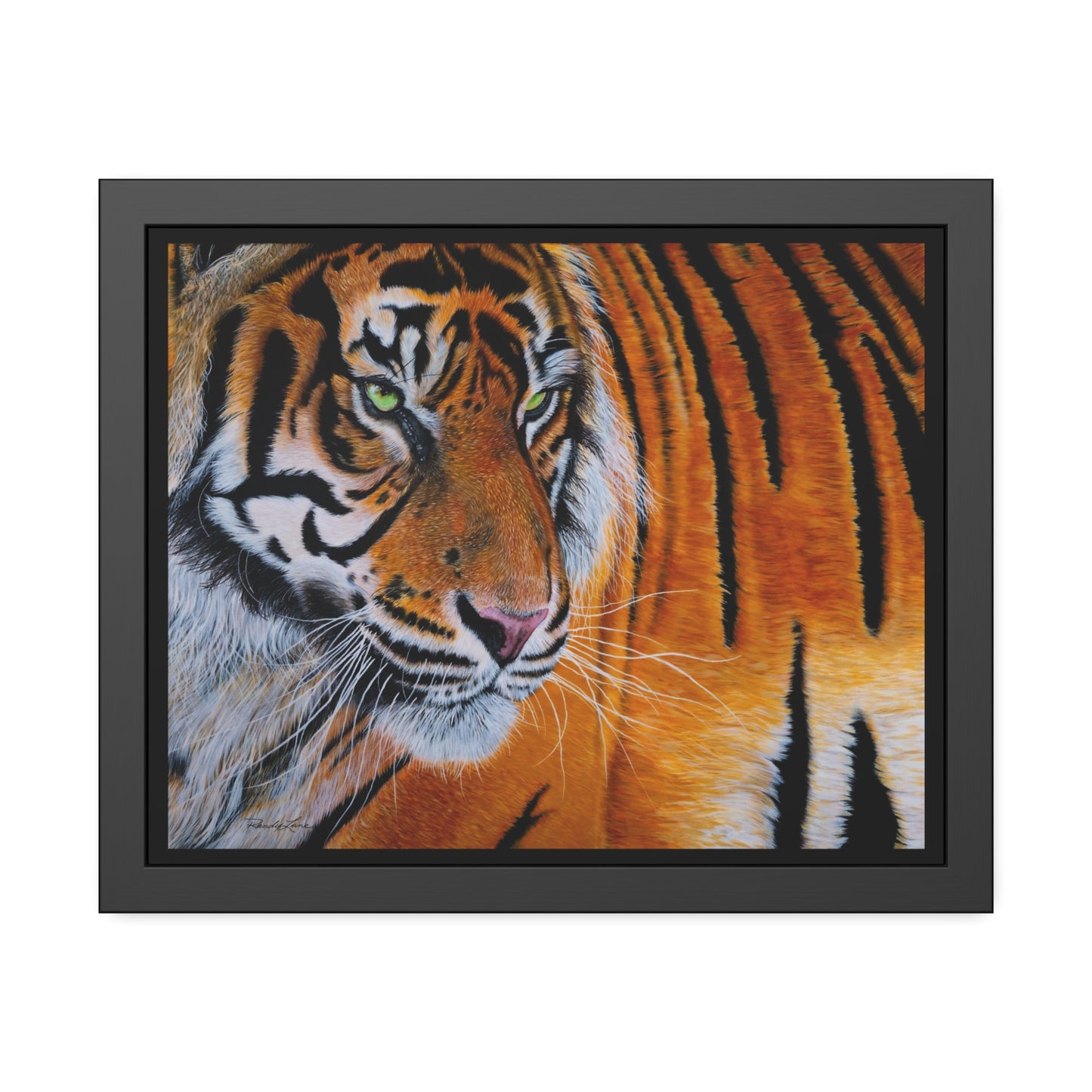 Tiger Stripe, Tiger Framed Art Print