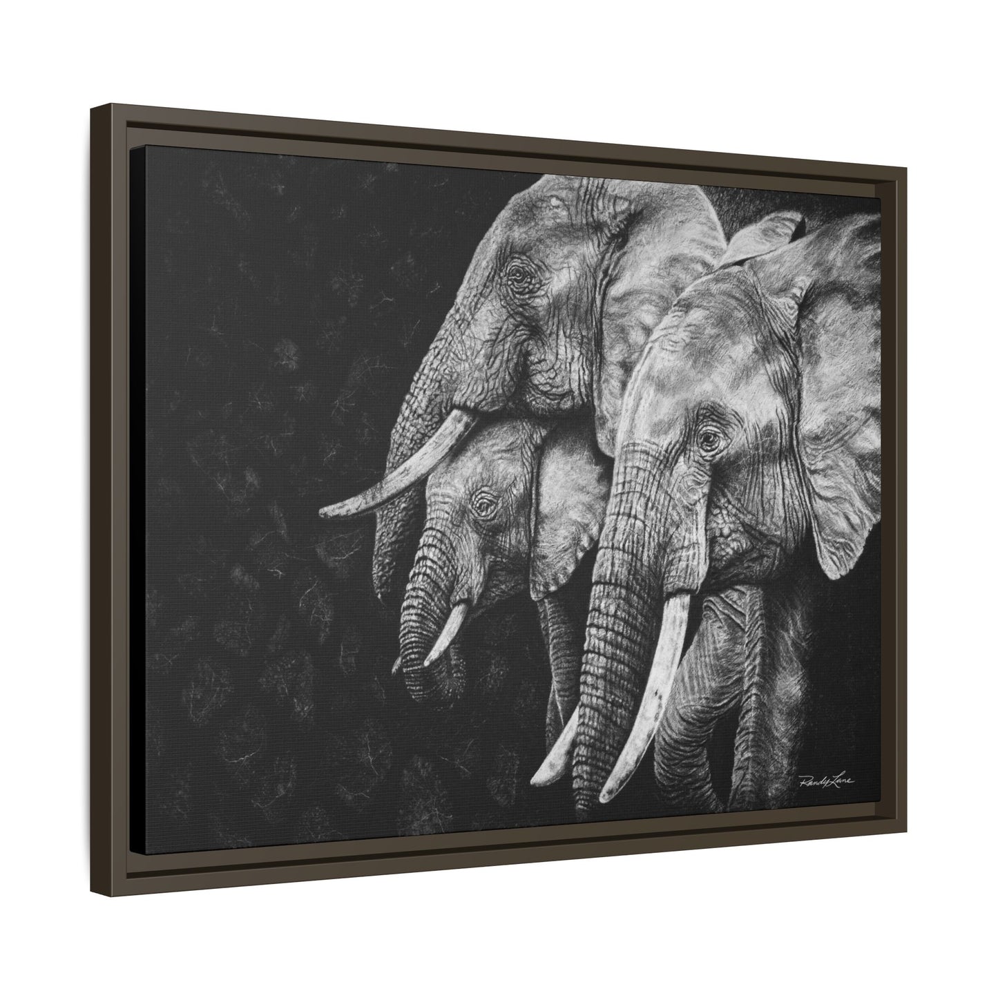 Brushland Bond. Elephant Art Framed Stretched Matte Canvas Print