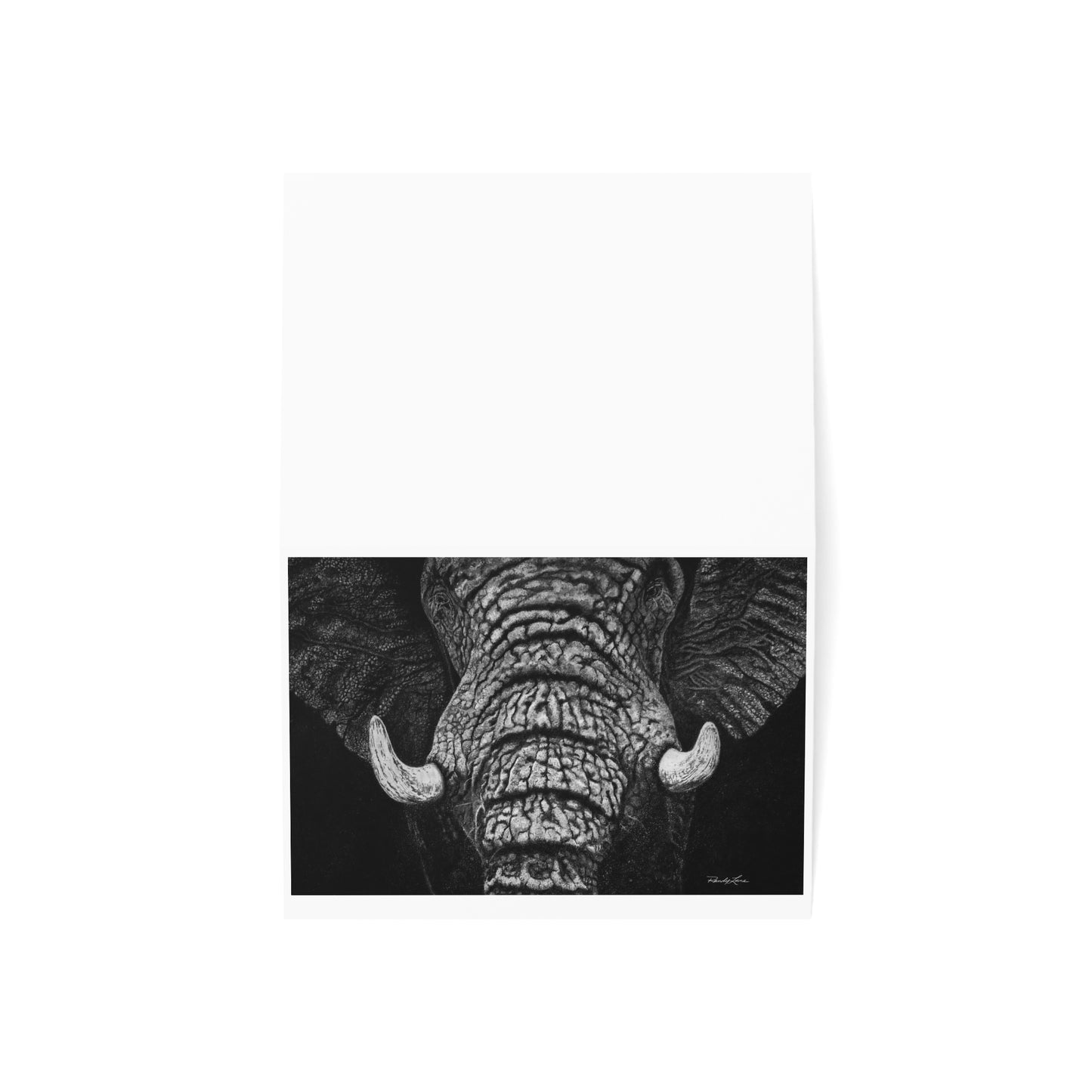 Ebony and Ivory, Elegant Elephant Greeting Cards