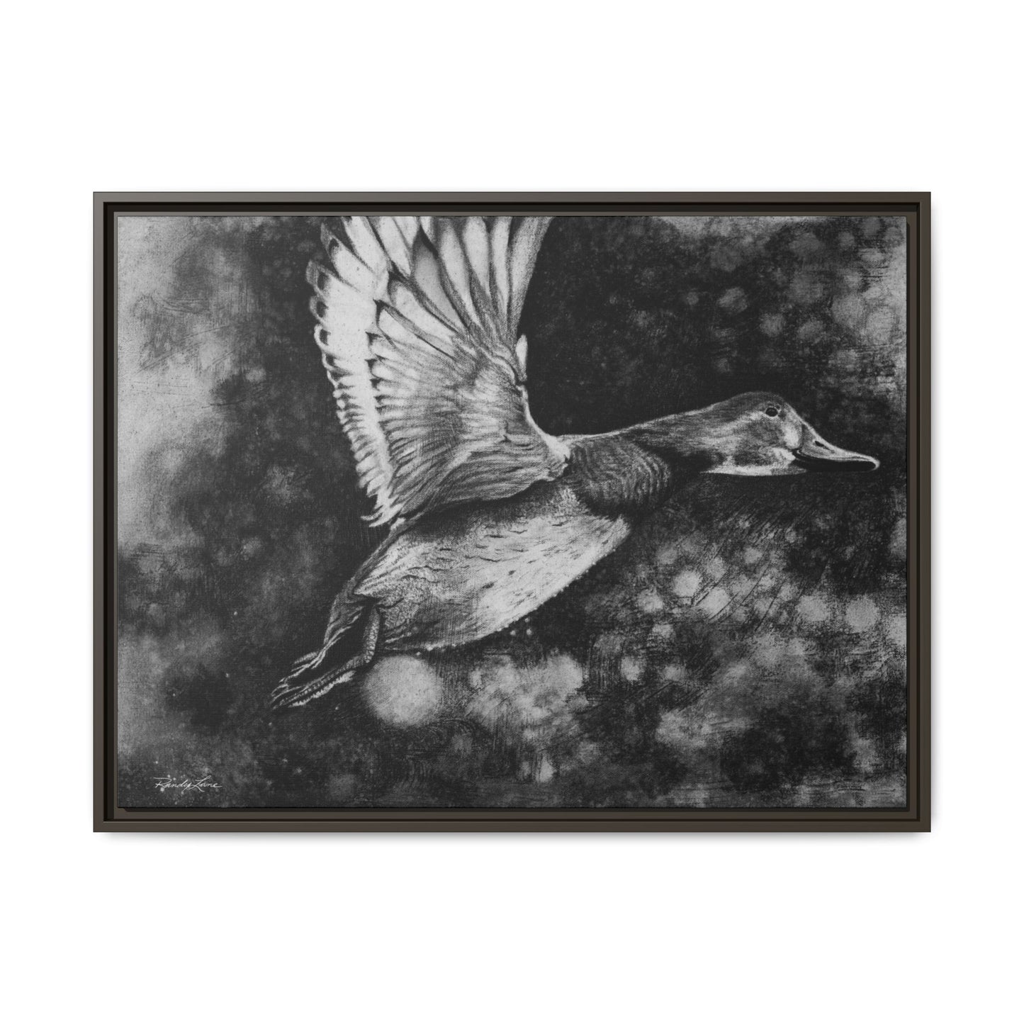 Flare, Framed Duck Canvas Art