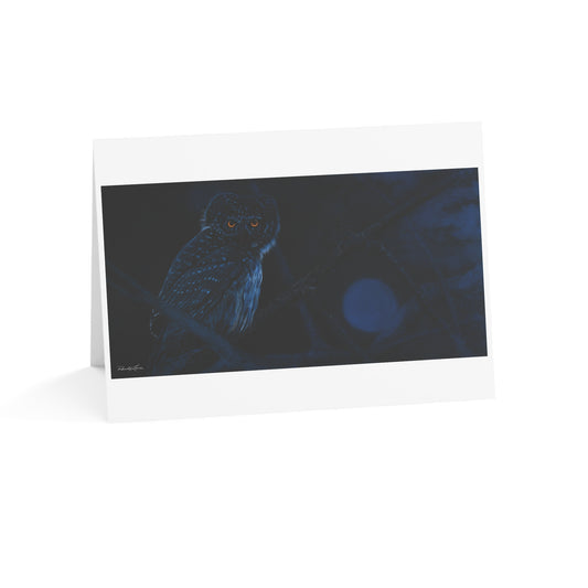 Bright Eyes, Owl Greeting Cards - Perfect for All Occasions 1-50 Packs