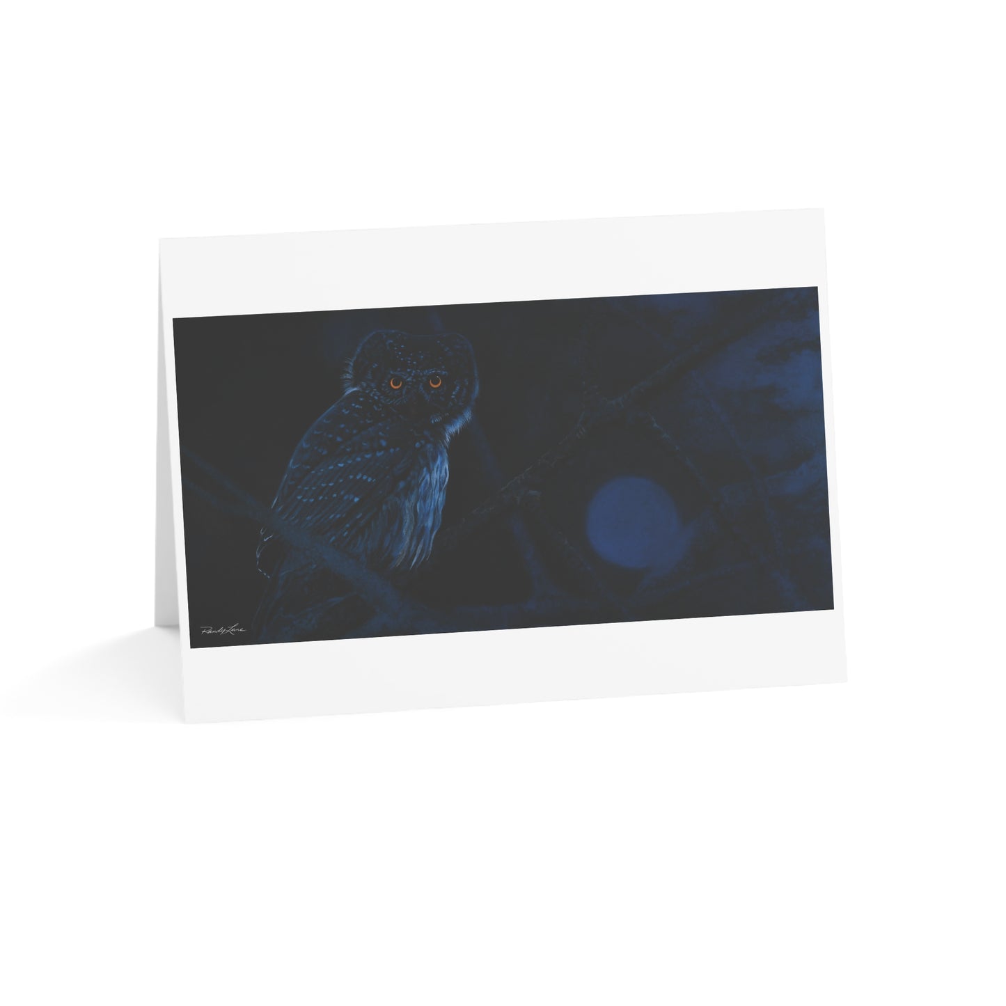 Bright Eyes, Owl Greeting Cards - Perfect for All Occasions 1-50 Packs