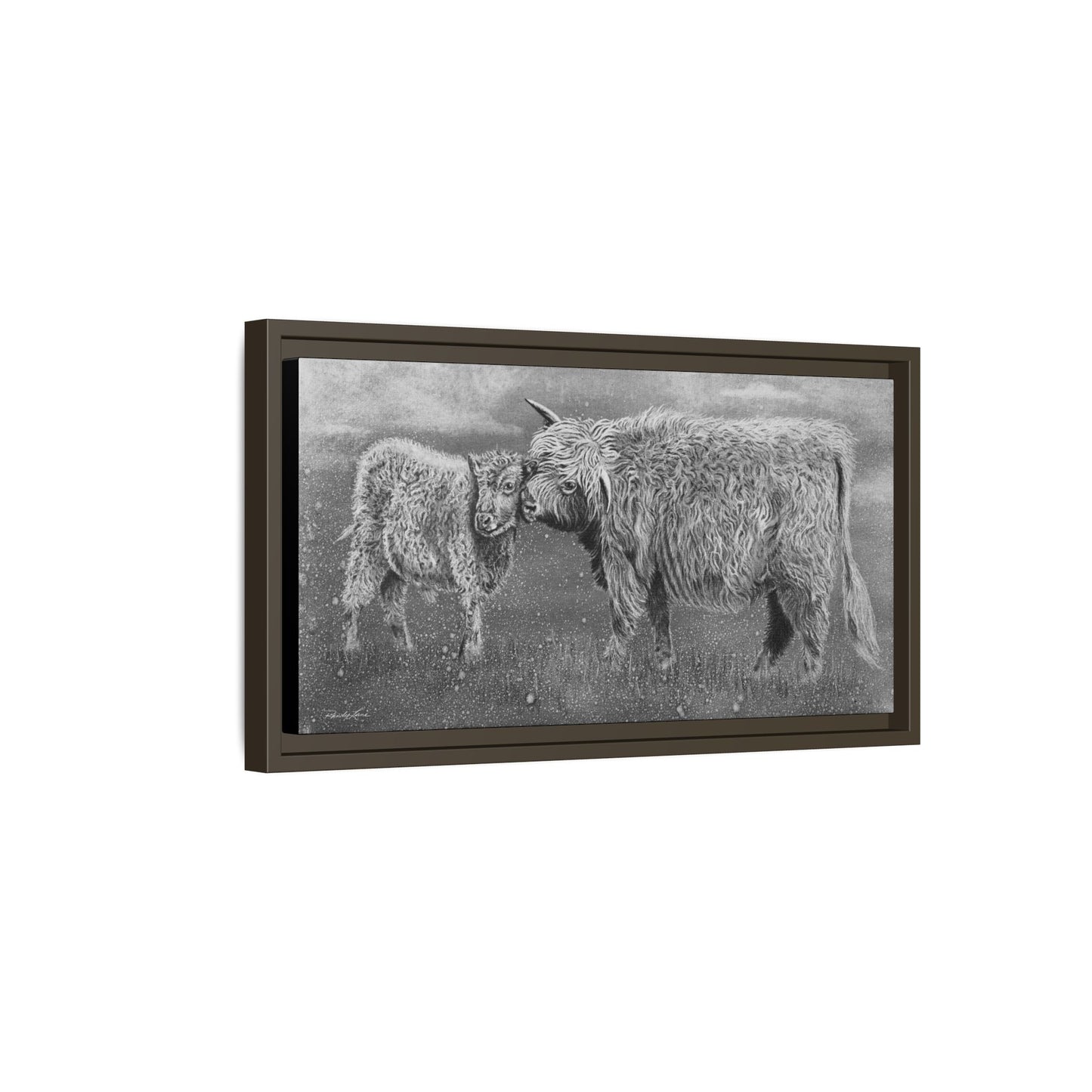 Highland Love, Highland Cattle Framed Canvas Art Print