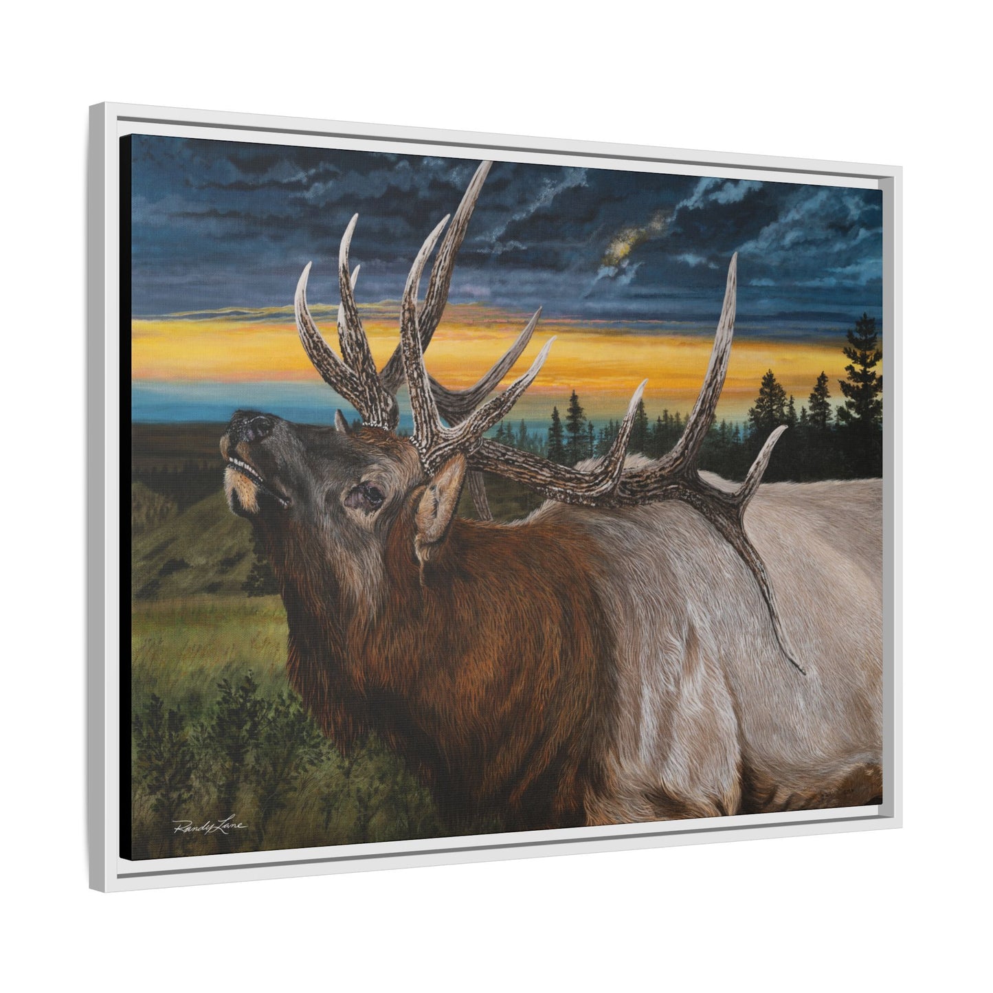 Sunset Serenade,  Elk Framed Matte Canvas Print