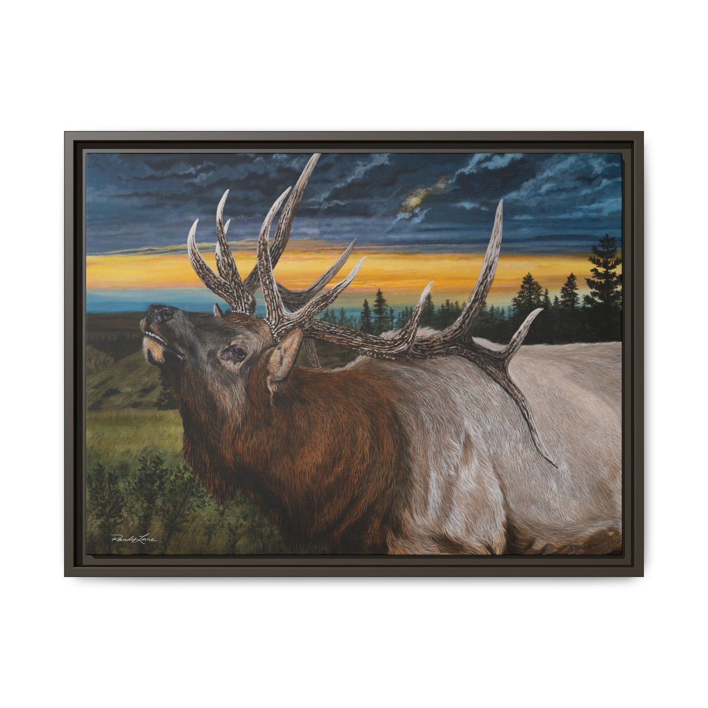 Sunset Serenade,  Elk Framed Matte Canvas Print