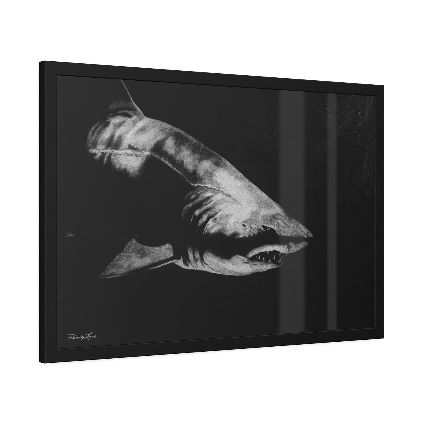 Below, Shark Framed Fine Art Print