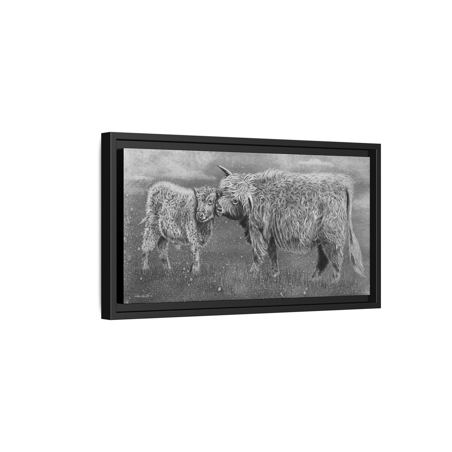 Highland Love, Highland Cattle Framed Canvas Art Print