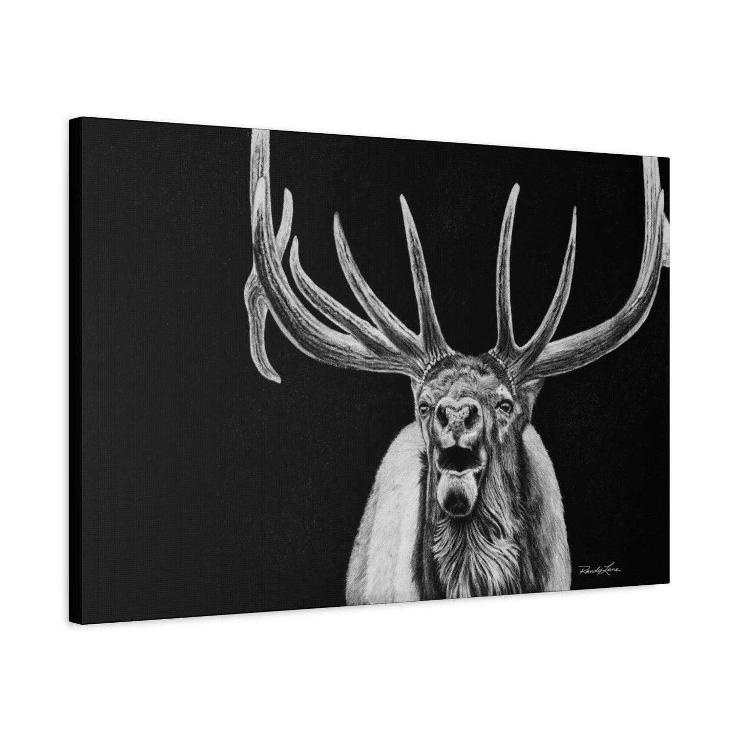 Heavy is the Crown, Matte Canvas Elk, Stretched, 1.25"