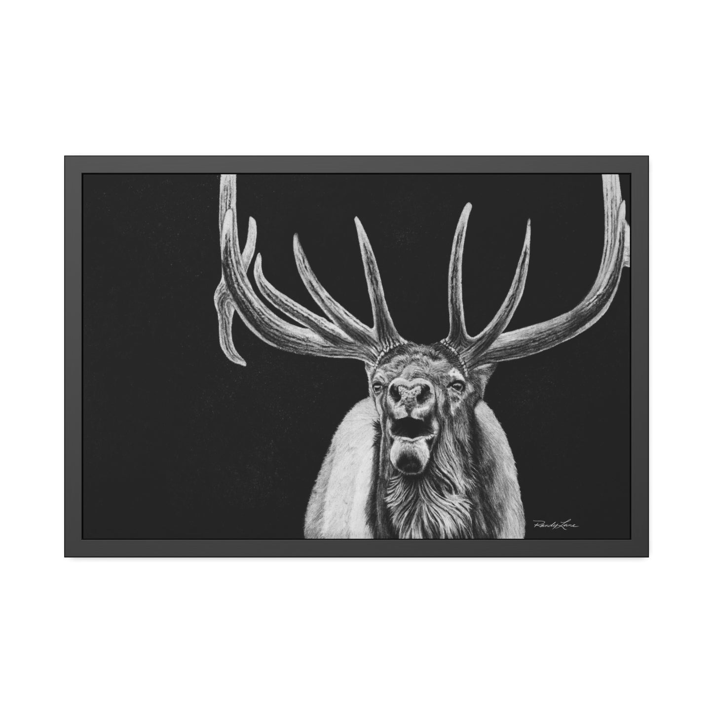 Heavy is the Crown, Framed Elk Fine Art Print