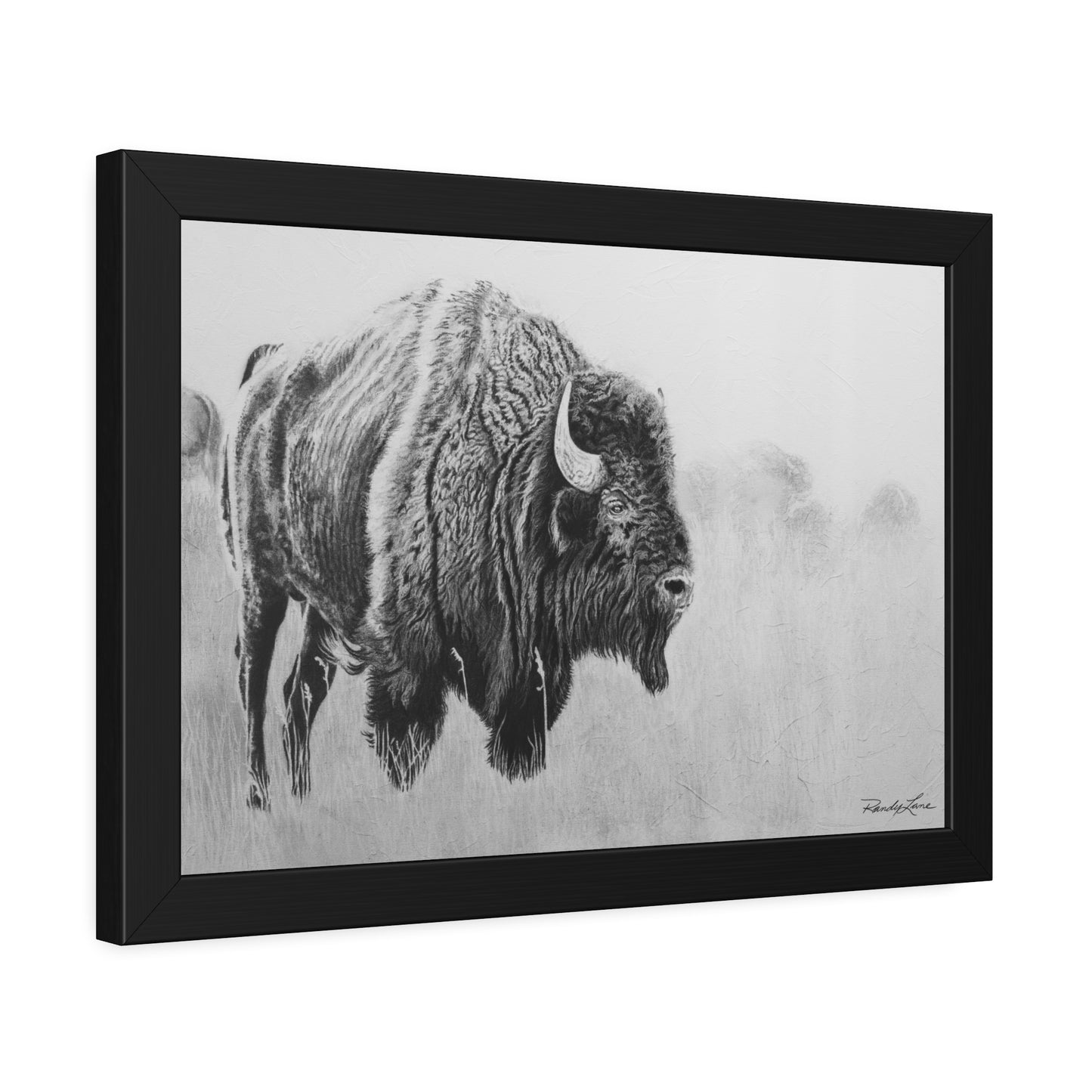 Prairie Bison, Bison Charcoal Art Framed Print