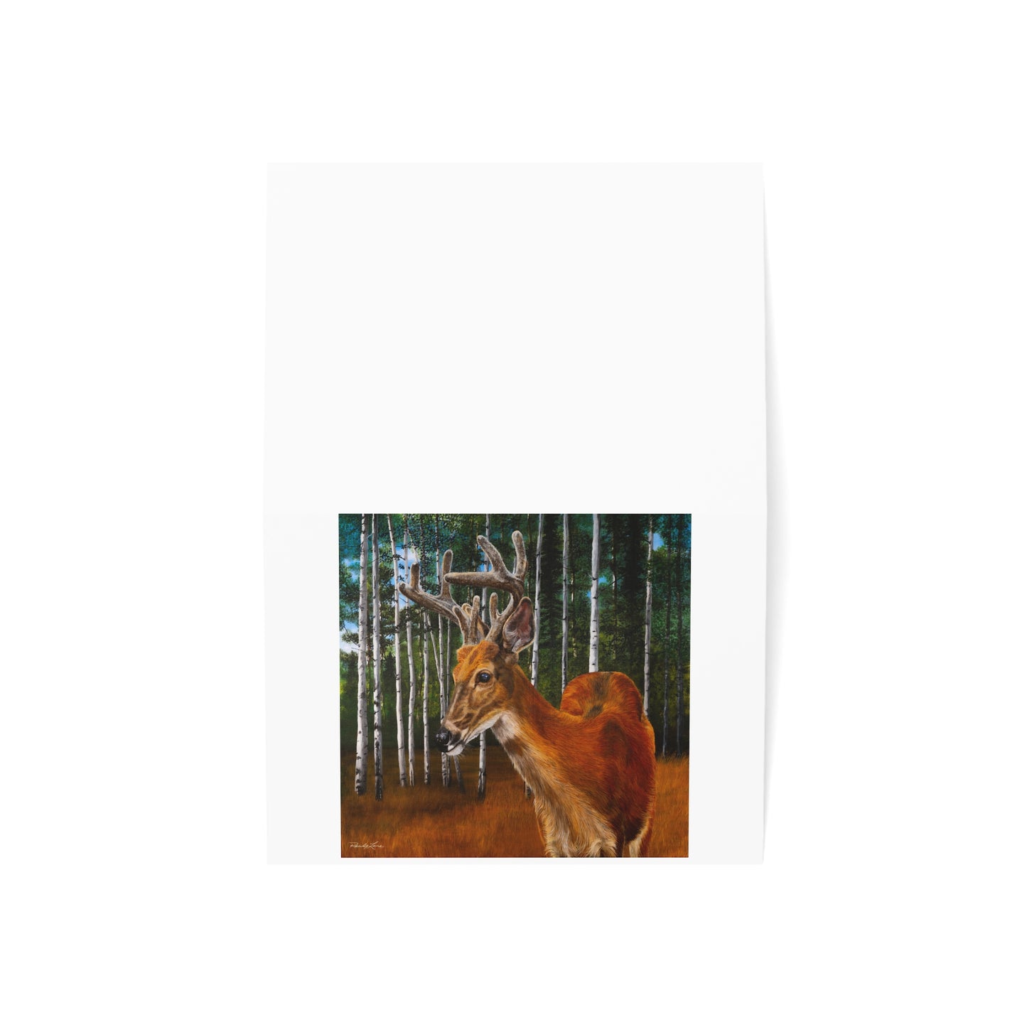 Velvet Crush, Deer Greeting Cards (1, 10, 30, and 50pcs)