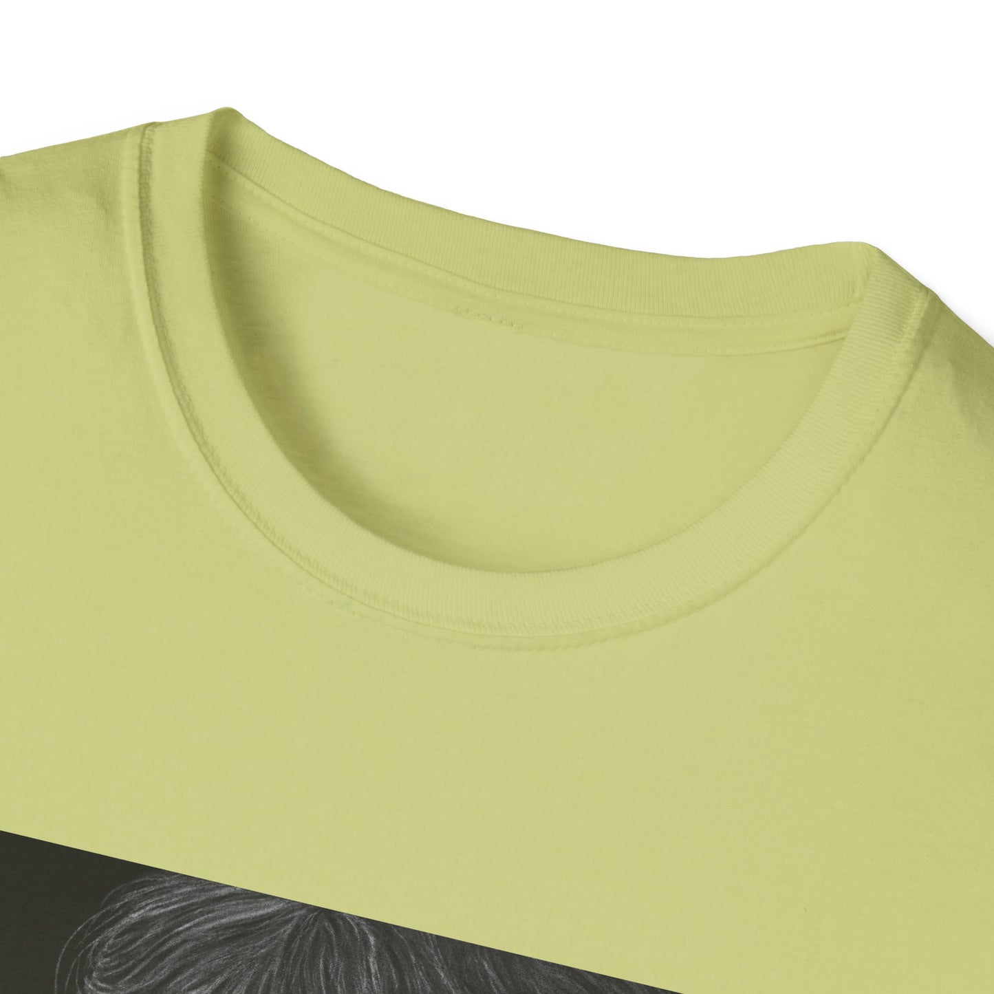 The Gift, Baby Theme Unisex soft T-Shirt