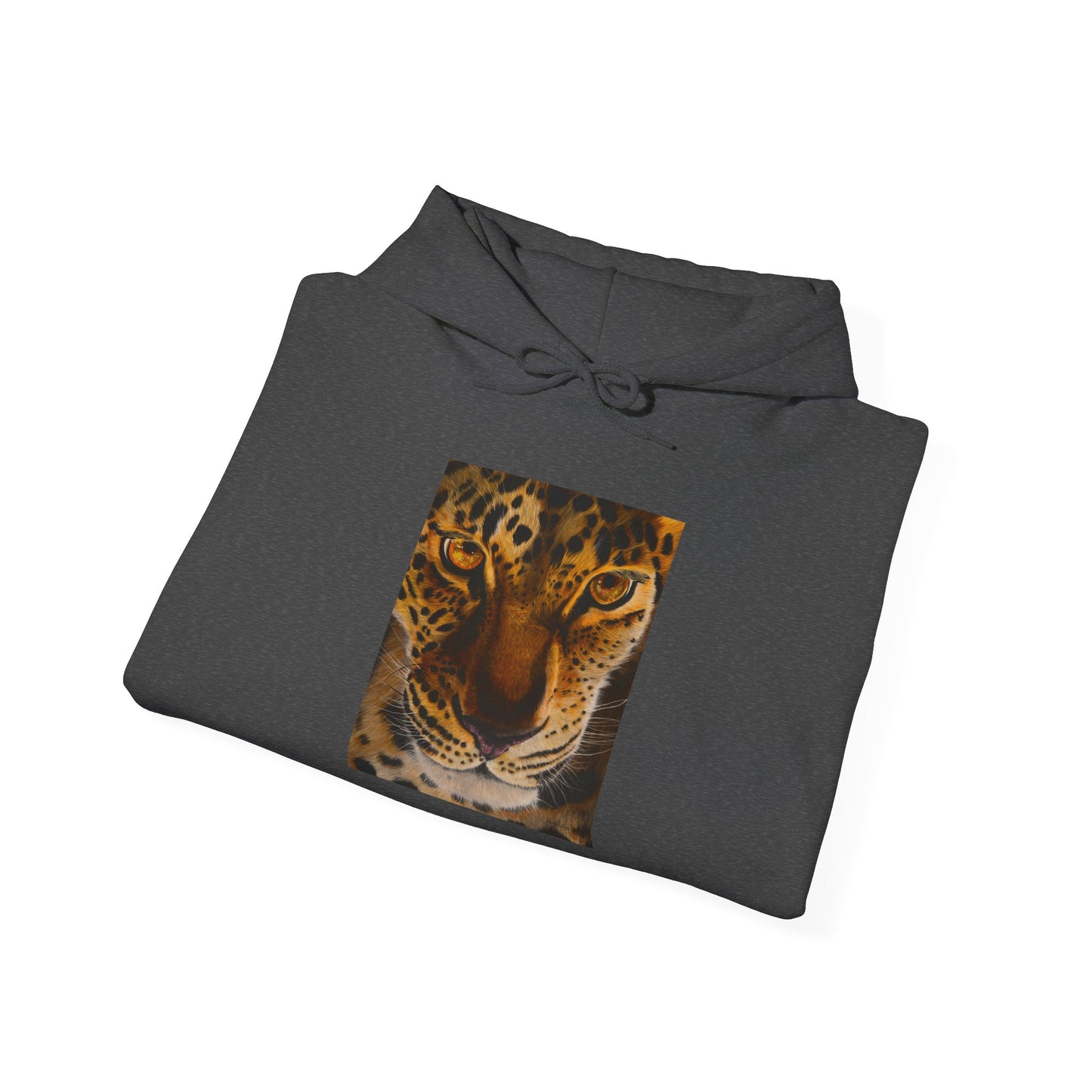 Windows to the Soul, Cozy Unisex Hoodie, Leopard Print Sweatshirt