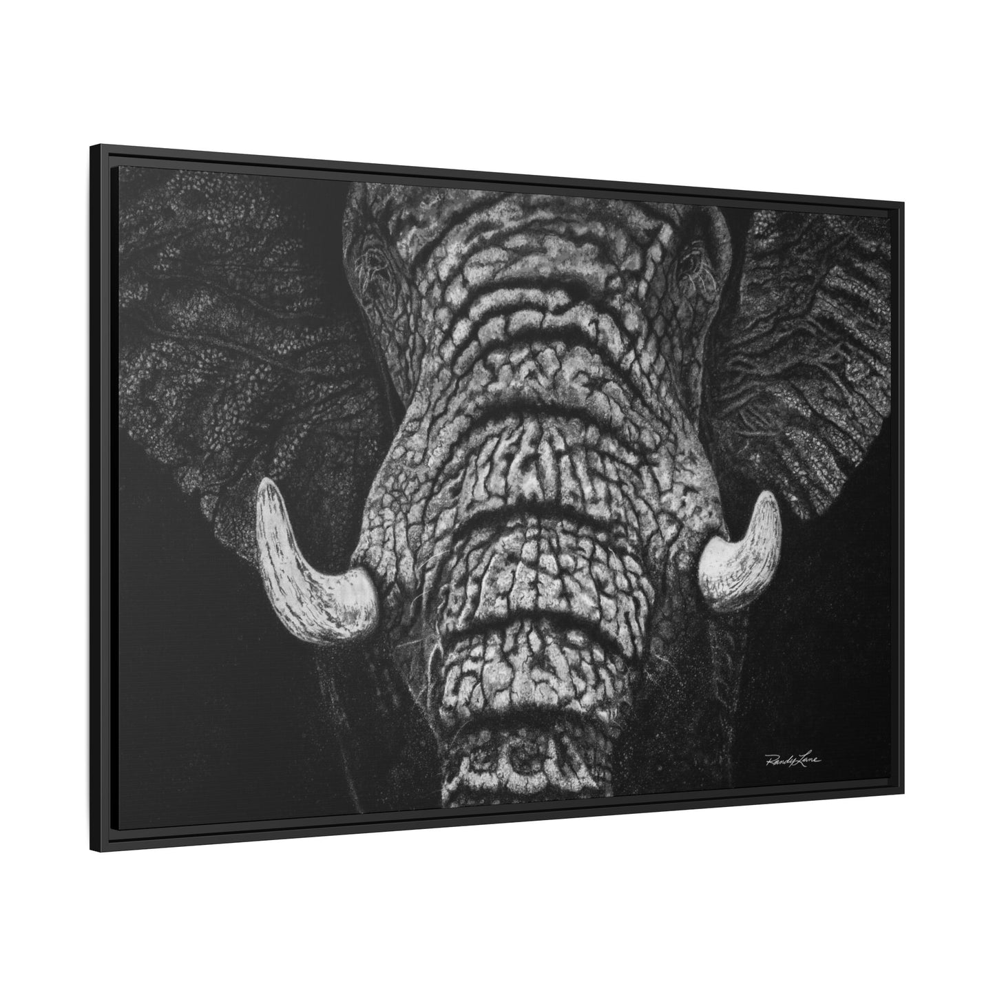 Ebony and Ivory, Elephant Portrait Framed Canvas Wall Art