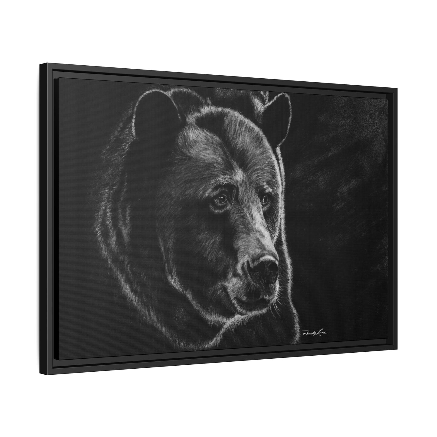 Dominance, Bear Portrait Stretched Framed Matte Canvas Print