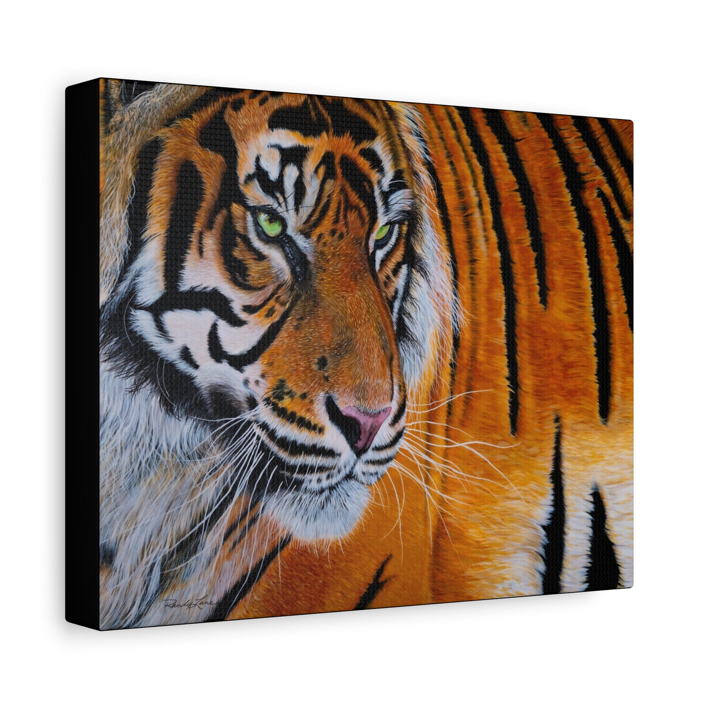 Tiger Stripe, Tiger Canvas Art