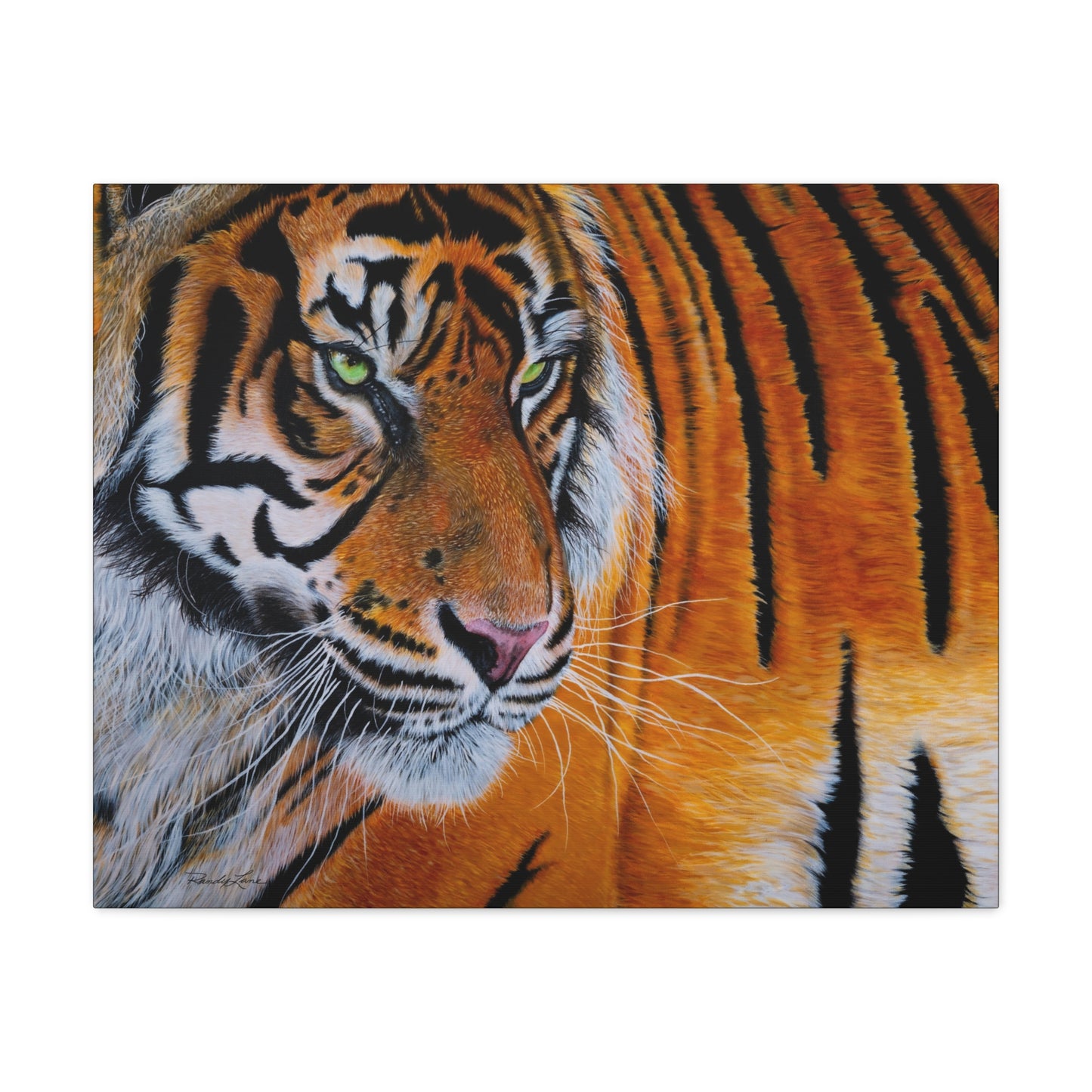 Tiger Stripe, Tiger Canvas Art