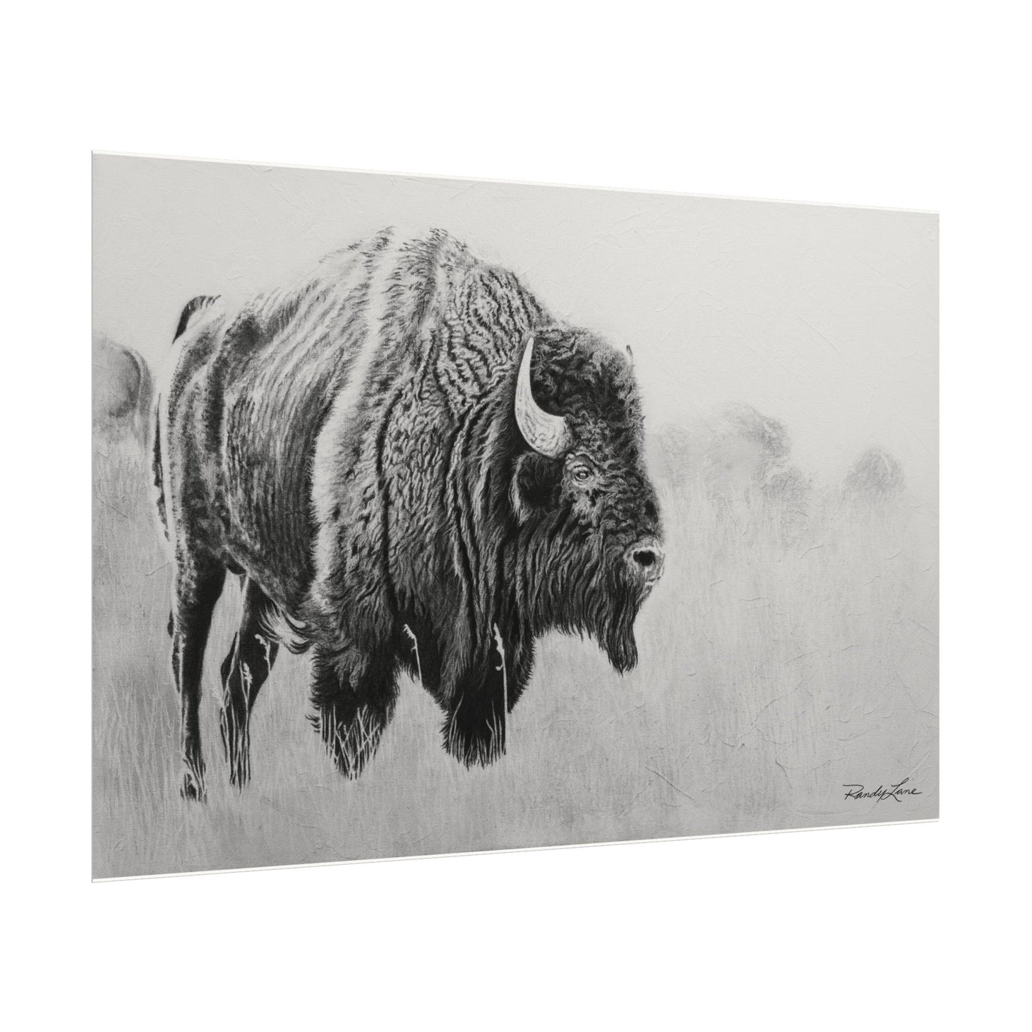 Prairie Bison, Bison Painting Matte Print – Textured Black & White Wildlife Art Print