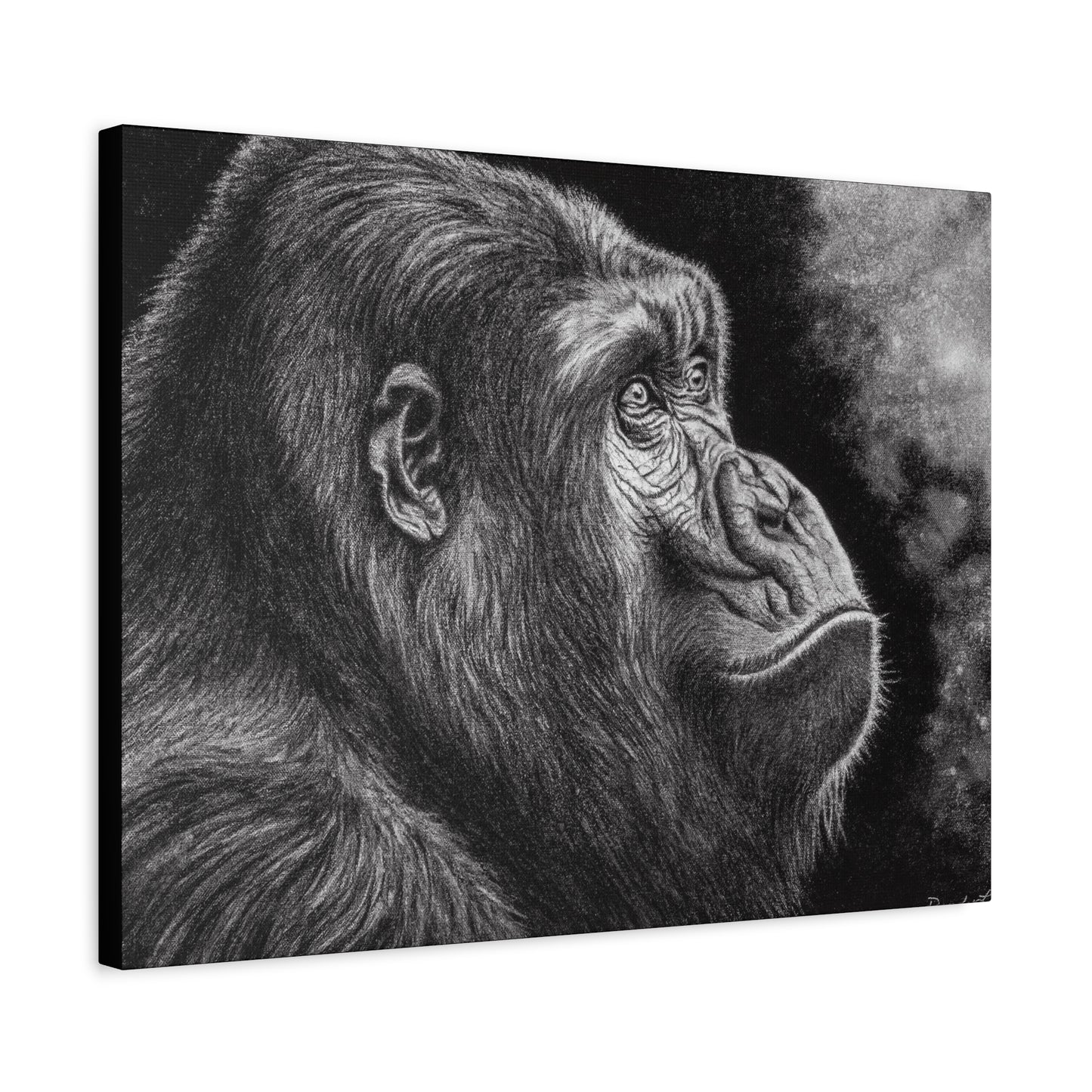 Gorilla, Matte Canvas, Stretched, 1.25"