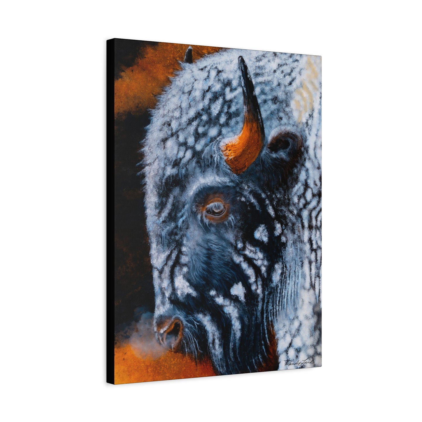 Storm Bison, Stretched Canvas Art Print