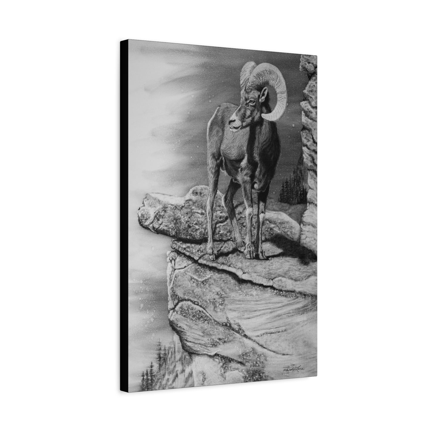 Legendary, Bighorn Sheep Stretched Canvas Wall Art