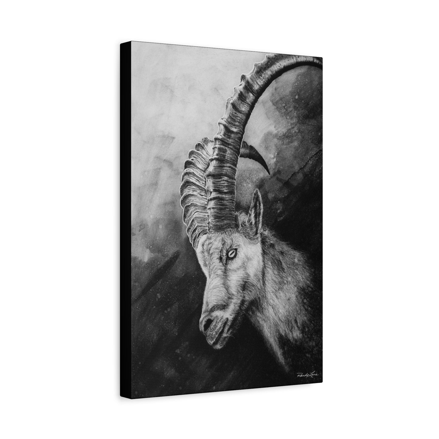Apex, Alpine Mountain Goat Canvas Art, Stretched Wall Decor