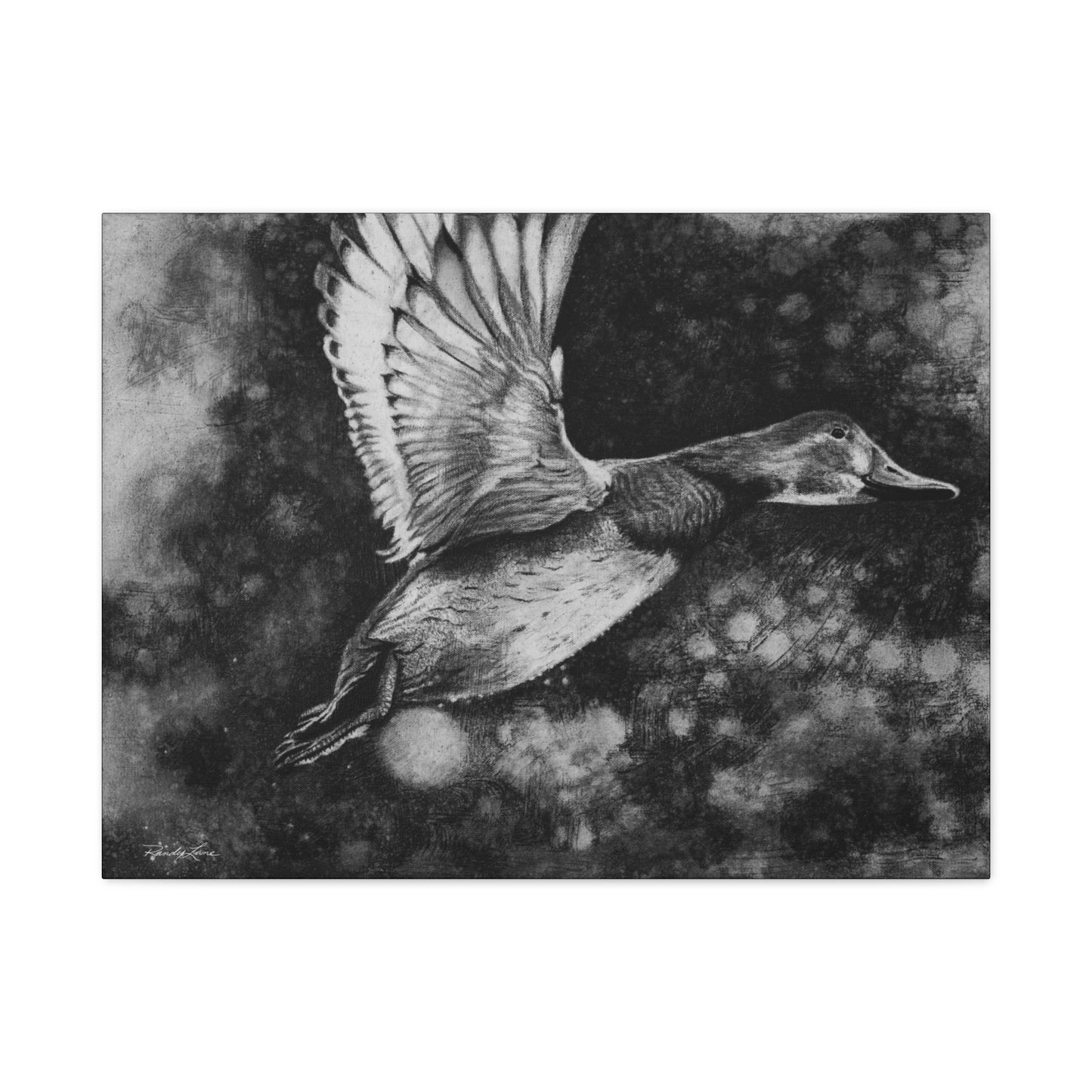 Flare, Elegant Duck Wall Art, Matte Stretched Canvas