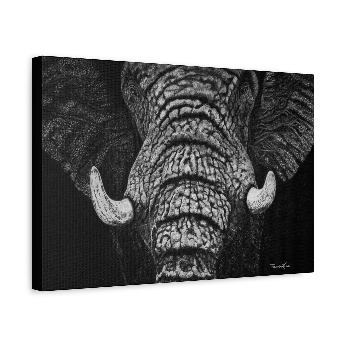 Ebony and Ivory, Stretched Canvas Wall Art Featuring Majestic Elephant