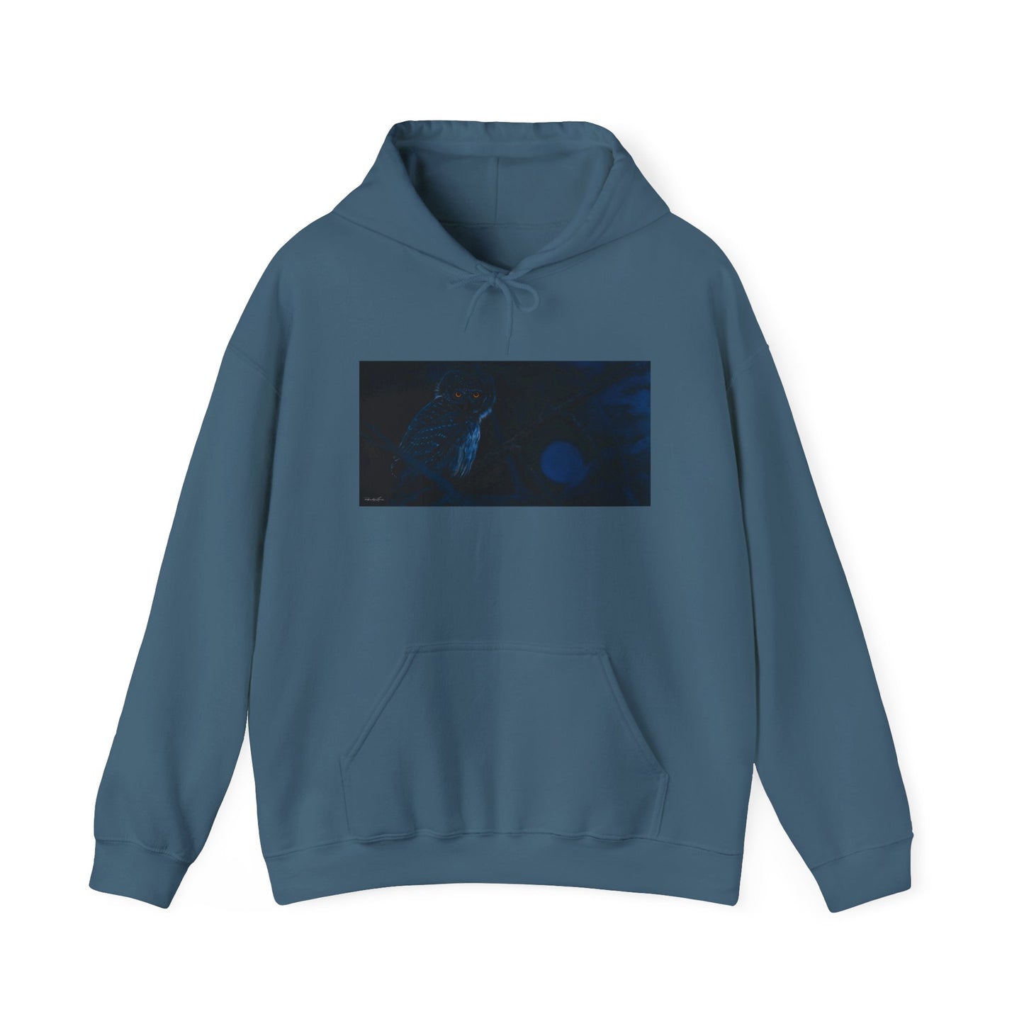 Bright Eyes, Owl print Cozy Unisex Hooded Sweatshirt