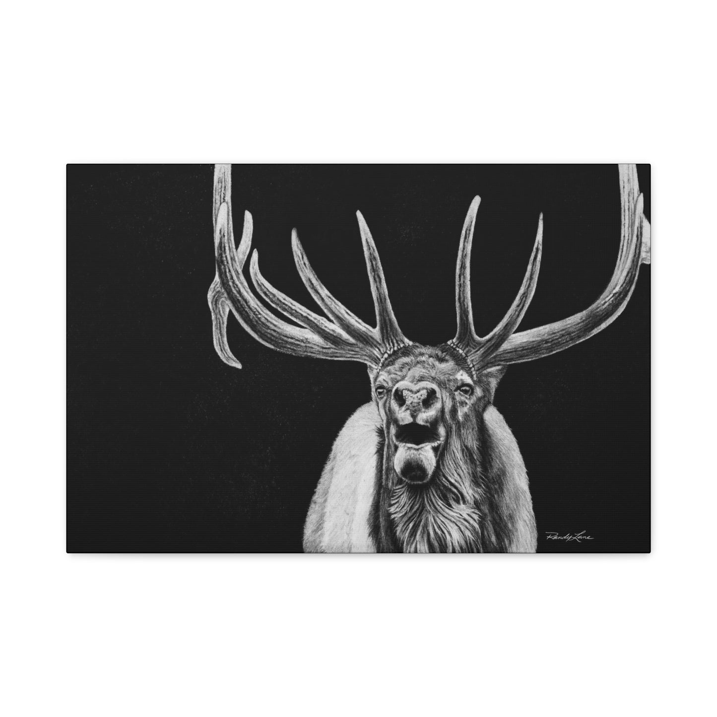 Heavy is the Crown, Matte Canvas Elk, Stretched, 1.25"