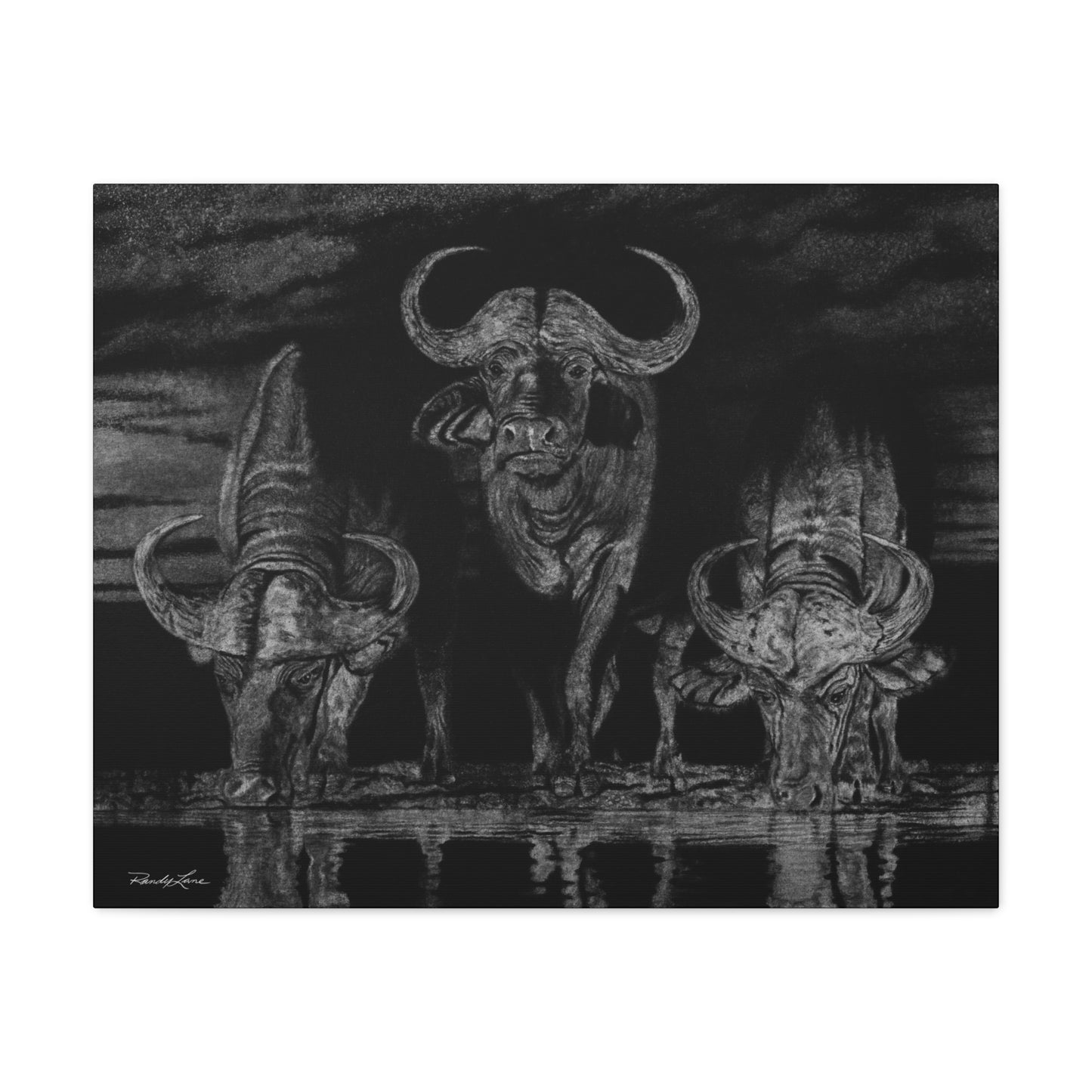 The Waterhole, Cape Buffalo,  Canvas Art