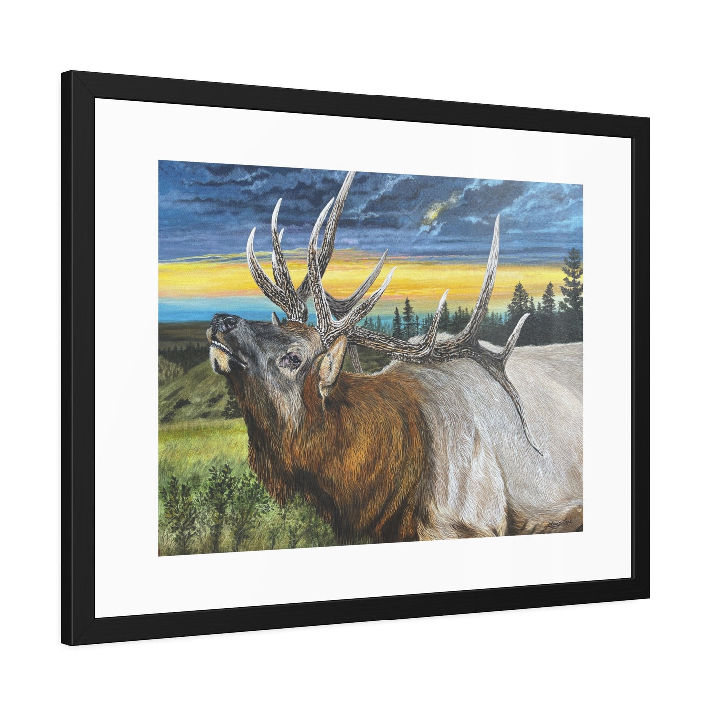 Sunset Serenade, Elk Framed Fine Art Print