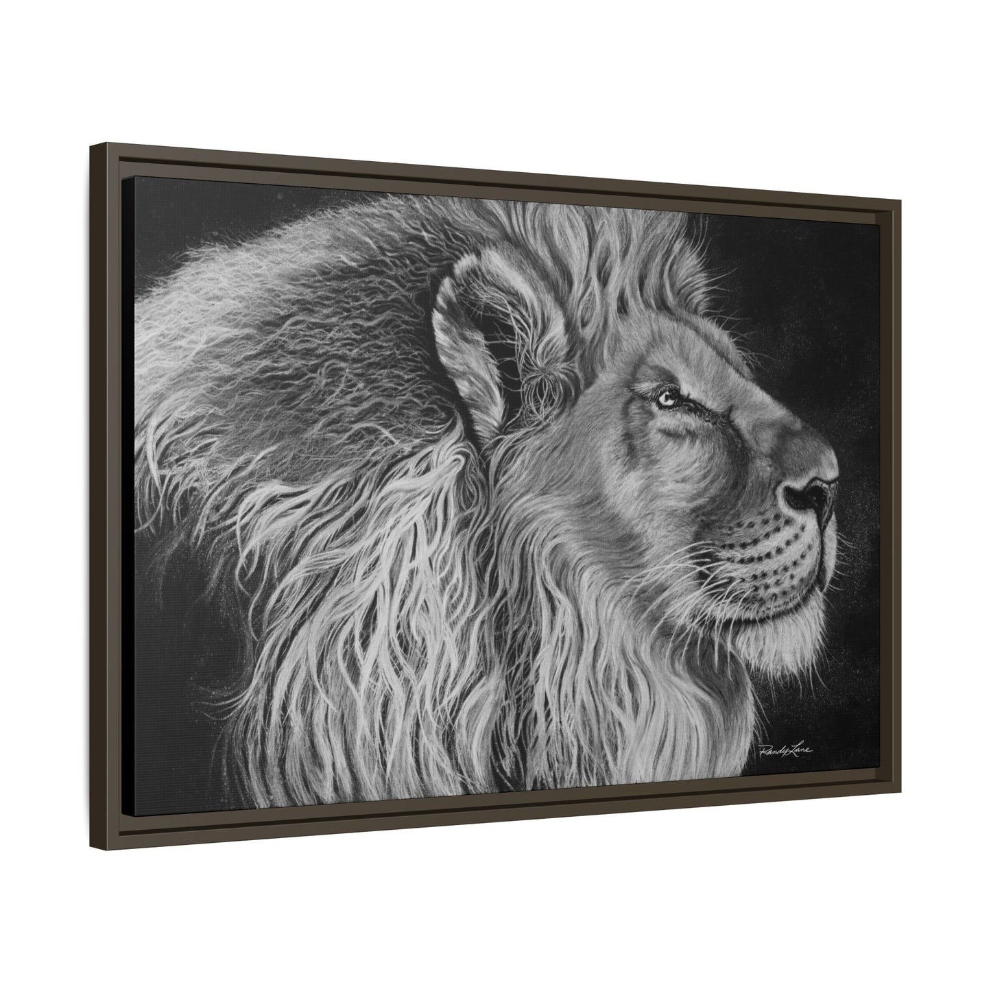 King of Cool, Majestic Lion Framed Canvas Art
