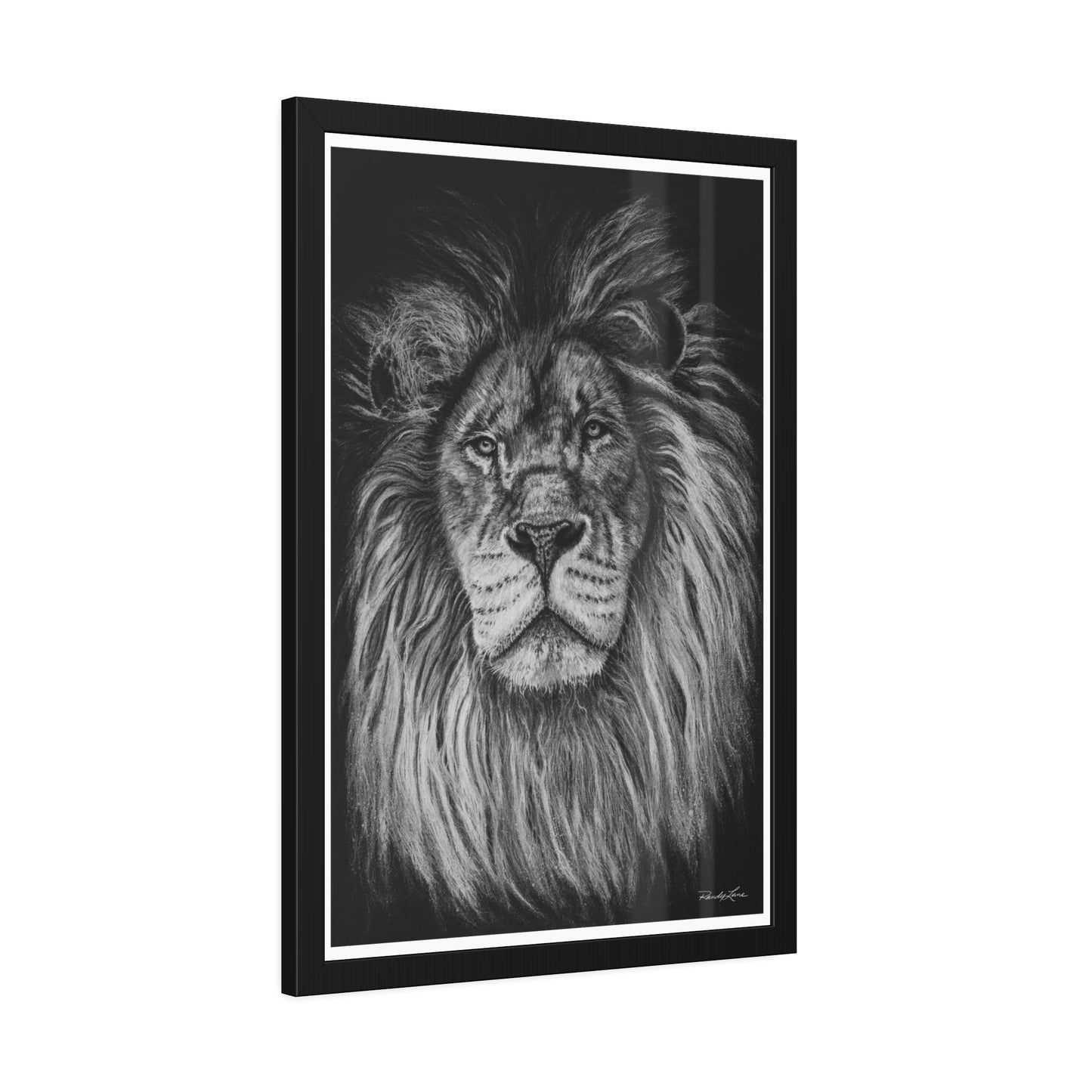 The Mane Event, Framed Fine Art Lion Prints