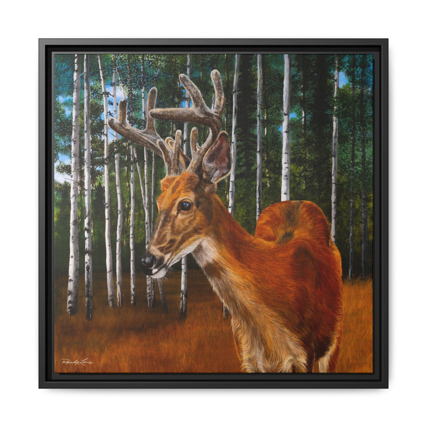 Velvet Crush, Framed Deer Canvas Art