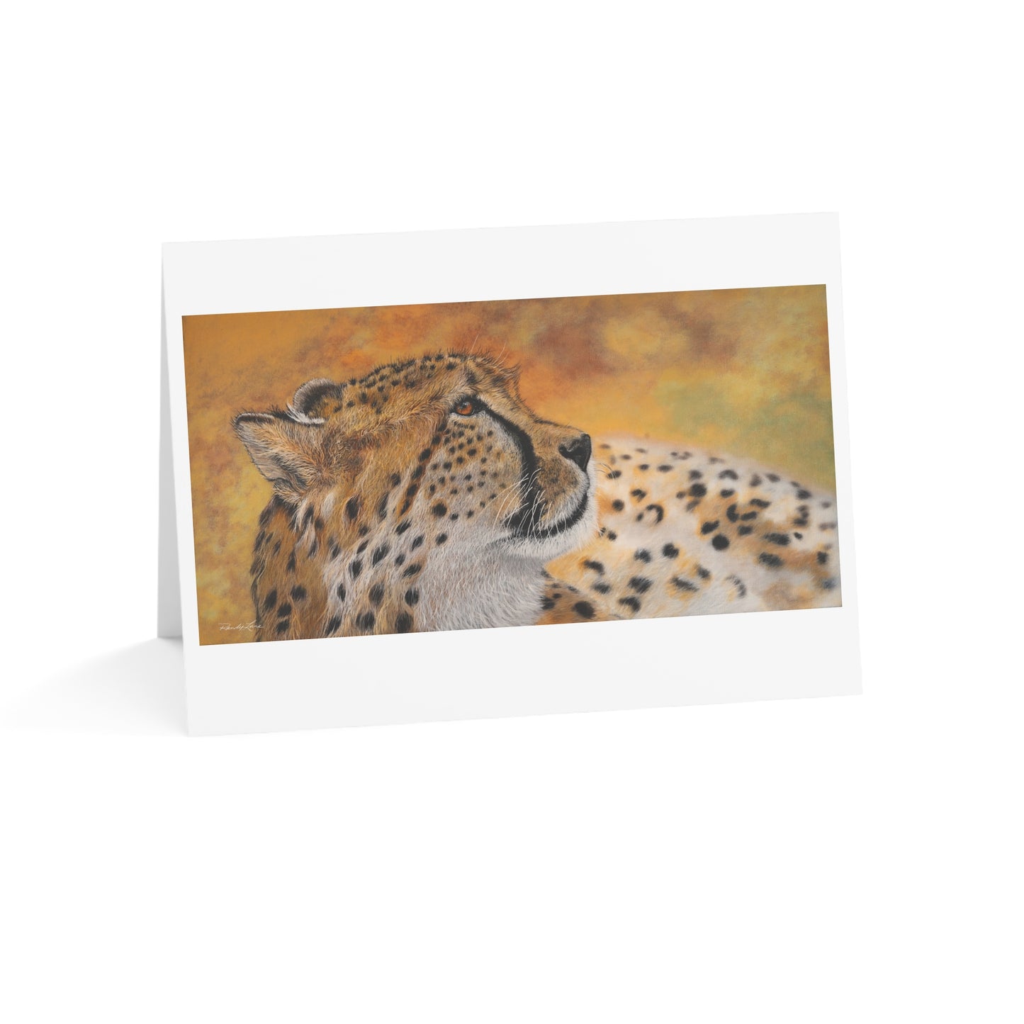 Cheetah Chill, Cheetah Greeting Cards - Set of 1, 10, 30, 50pcs
