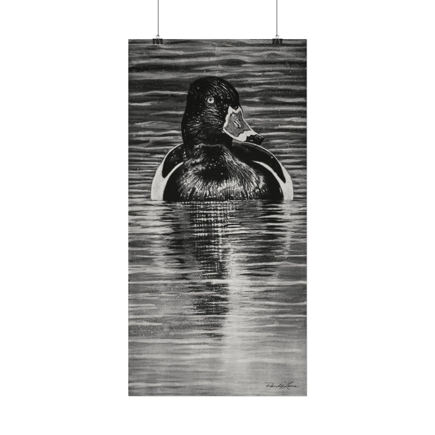 Reflection, Ring necked Duck Painting, Textured Matte Print