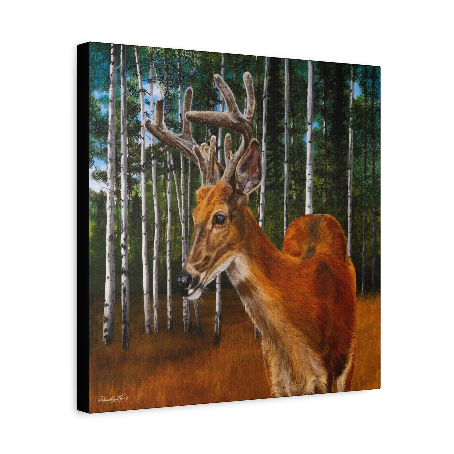Velvet Crush,  Deer Canvas Wall Art