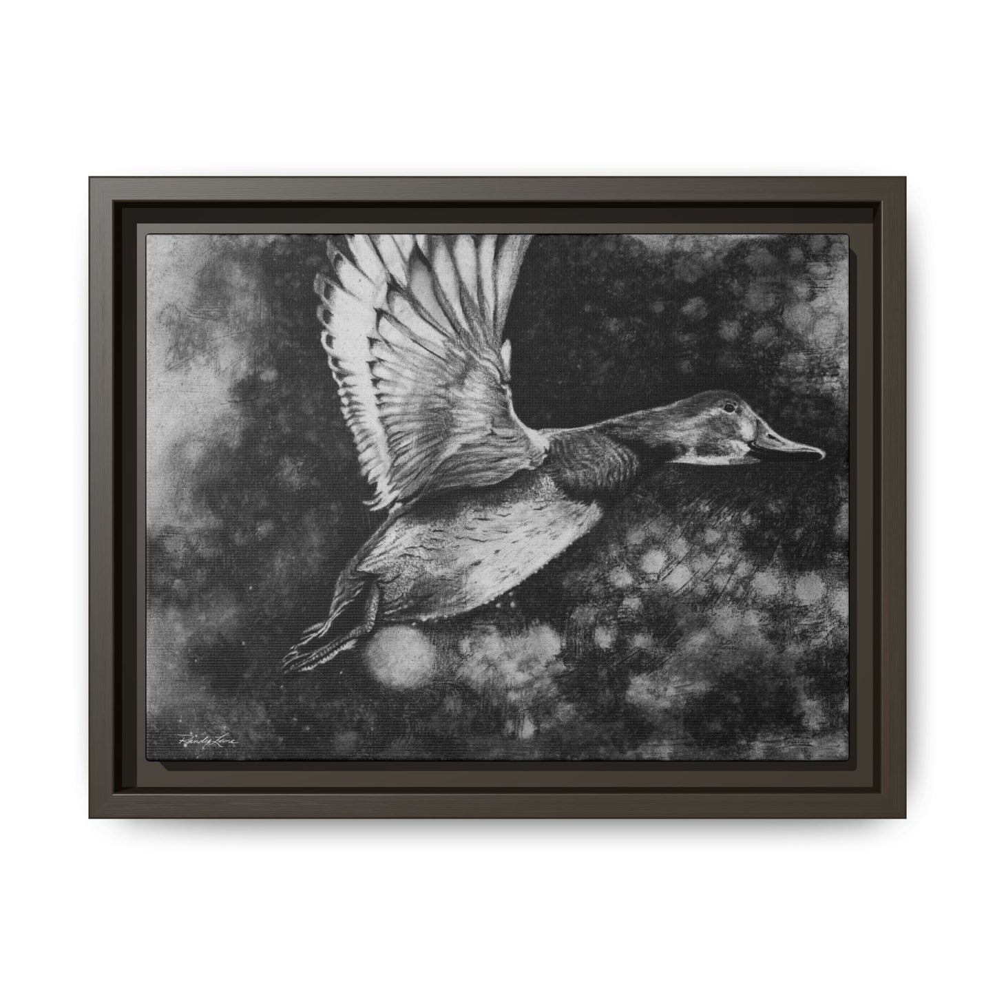 Flare, Framed Duck Canvas Art