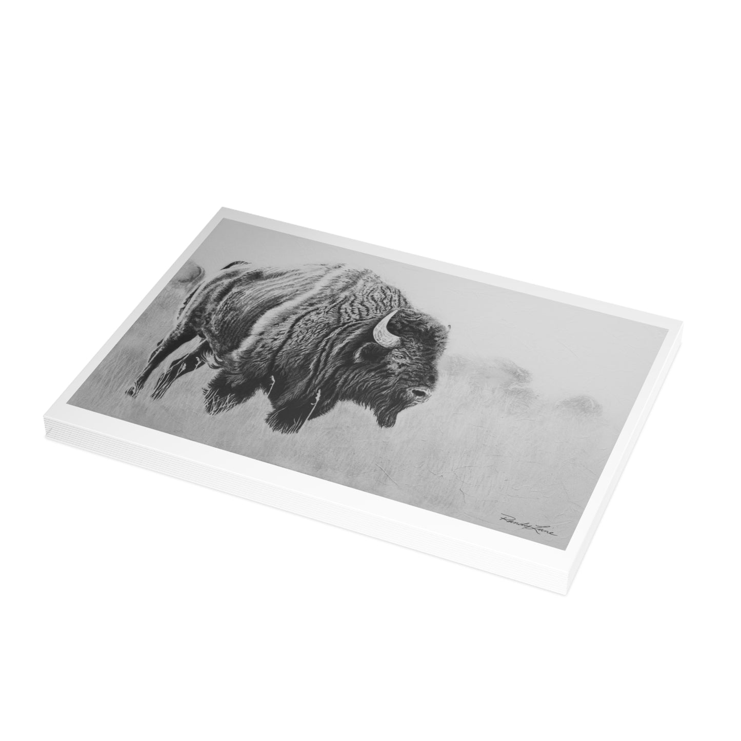 Prairie Bison, Bison Painting Greeting Cards (Blank Inside) — Packs of 1, 10, 30, 50