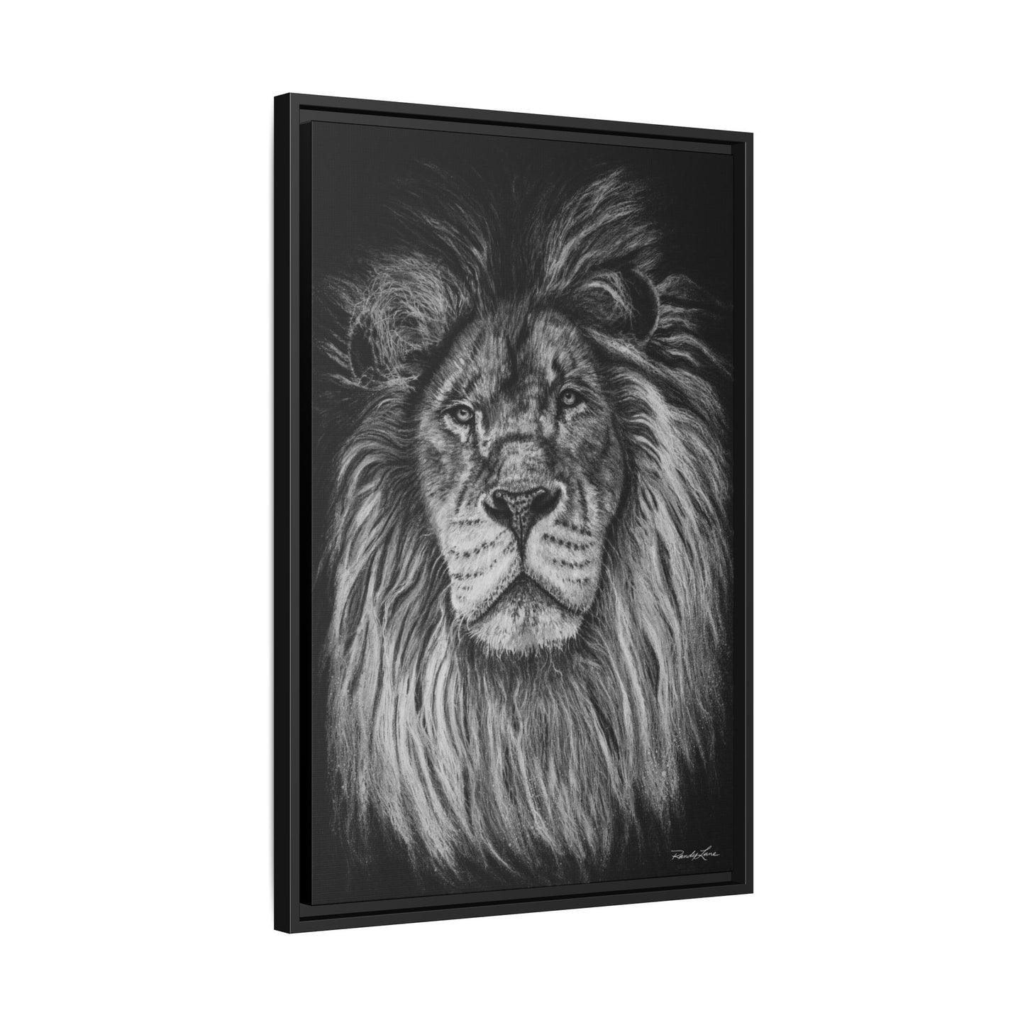 The Mane Event, Matte Canvas Lion Prints, Framed (Multi-color)