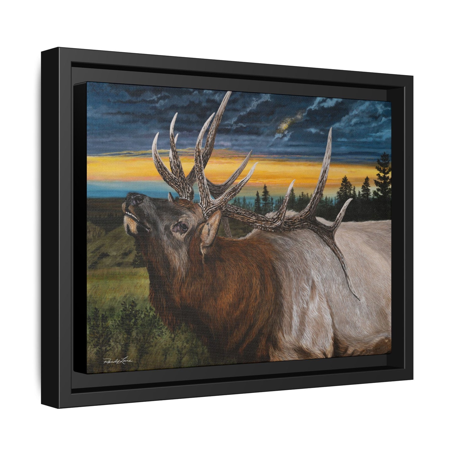 Sunset Serenade,  Elk Framed Matte Canvas Print