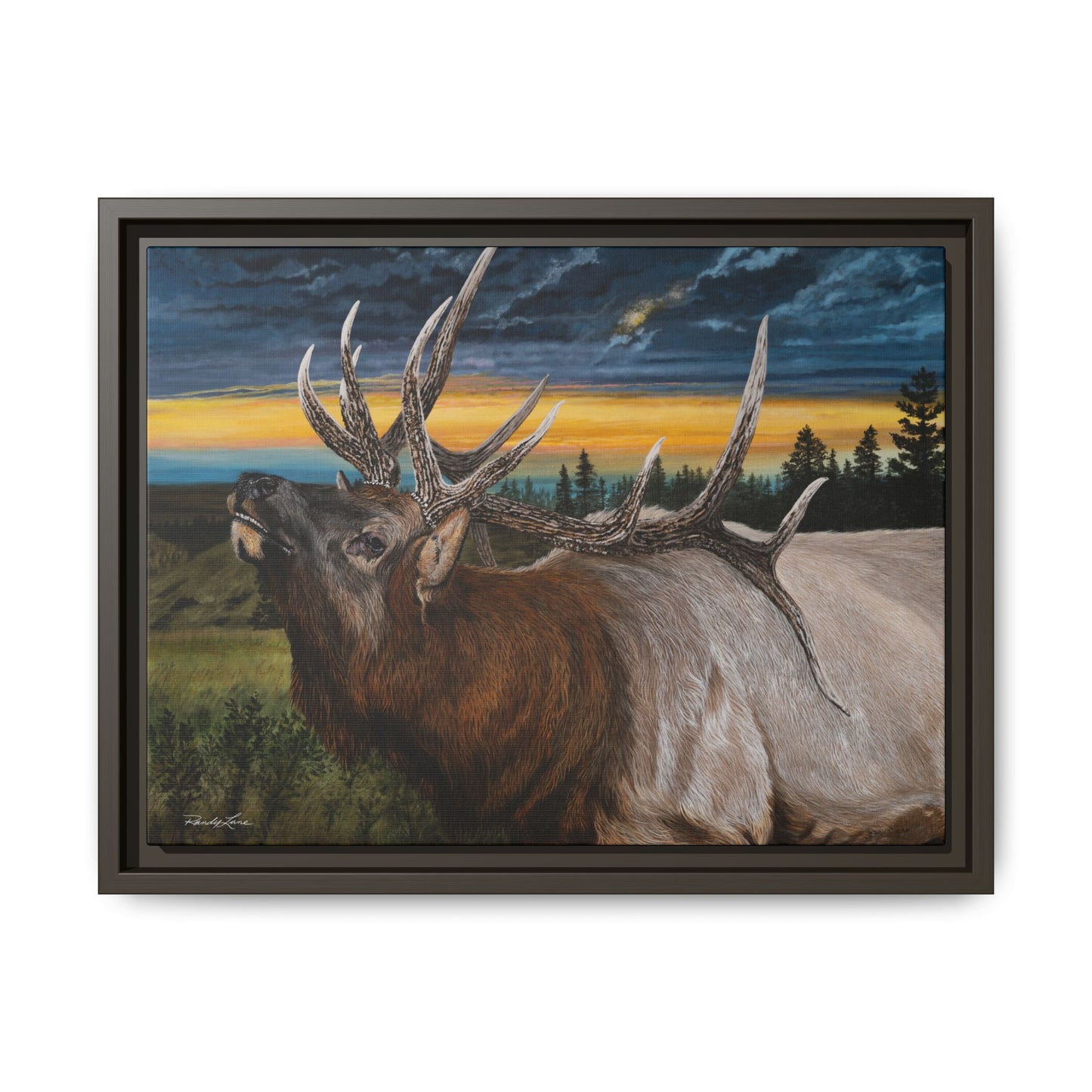 Sunset Serenade,  Elk Framed Matte Canvas Print