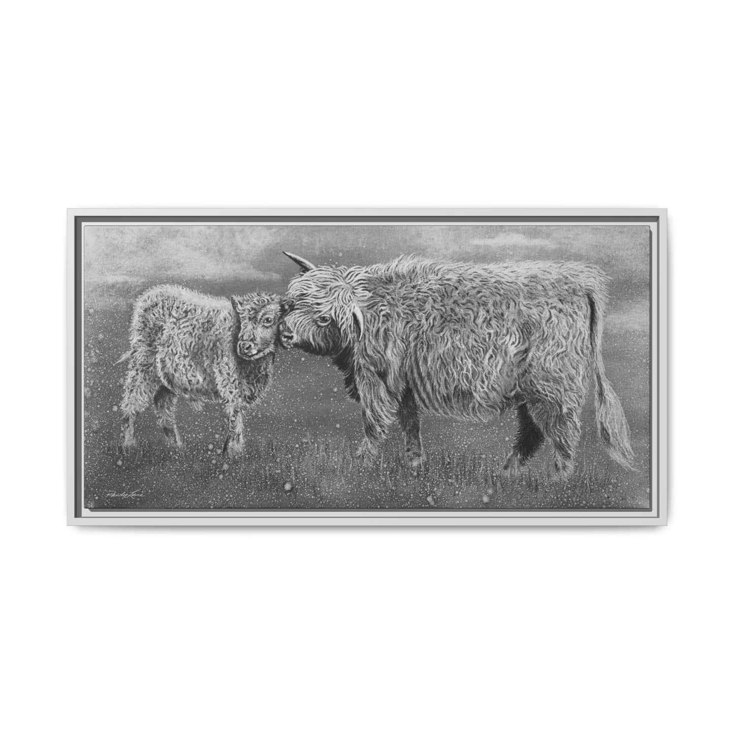 Highland Love, Highland Cattle Framed Canvas Art Print
