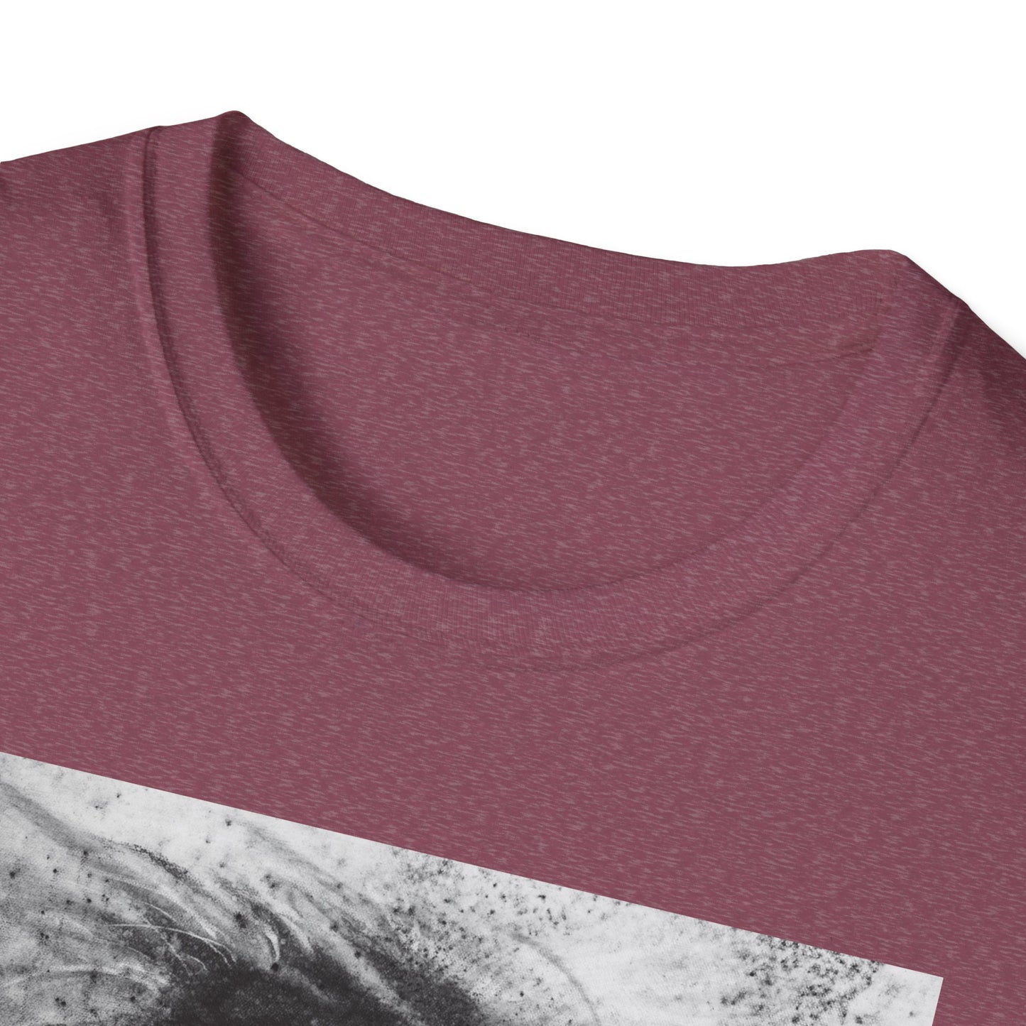 Let the Lion Roar, Lion Graphic Tee, Unisex T-Shirt